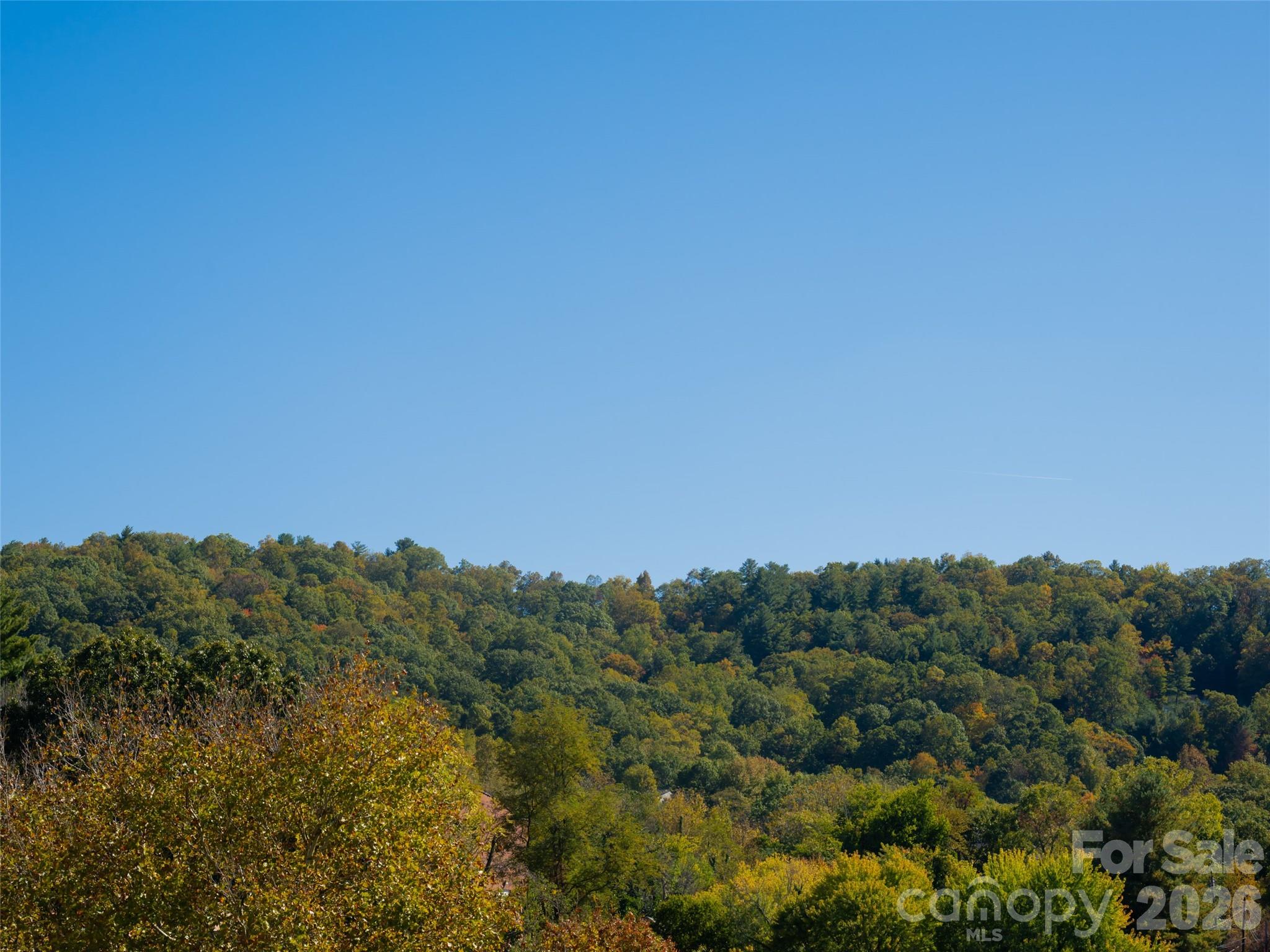 55 S Market Street #210 — Asheville