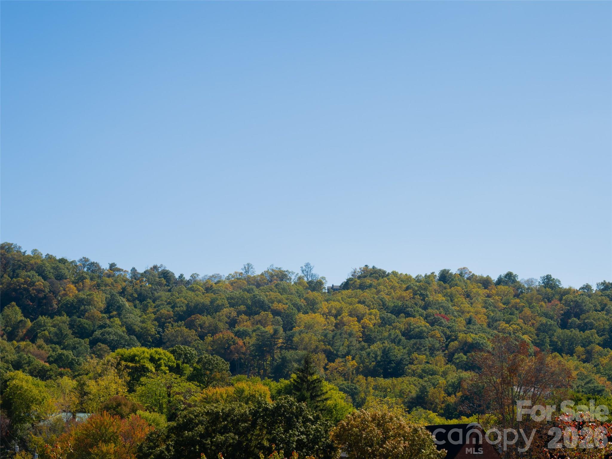 55 S Market Street #210 — Asheville