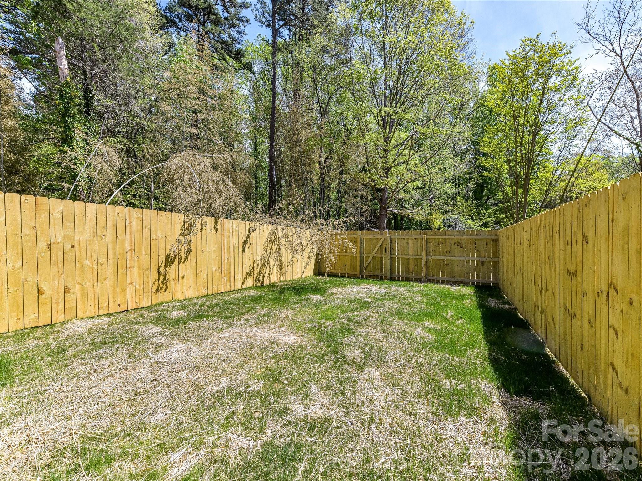 655 Stillgreen Lane — Charlotte