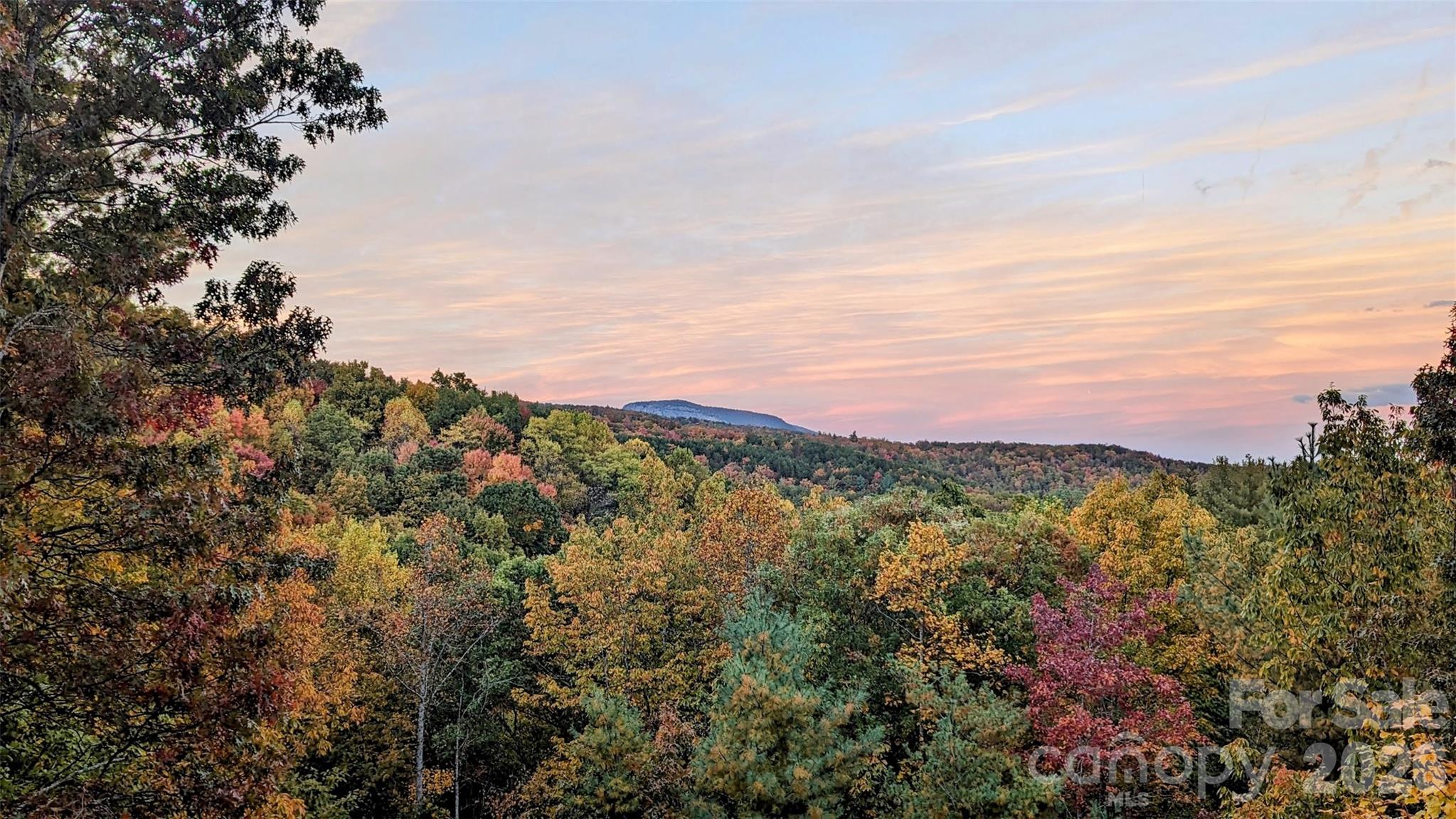 9147 Shortoff View Terrace — Nebo