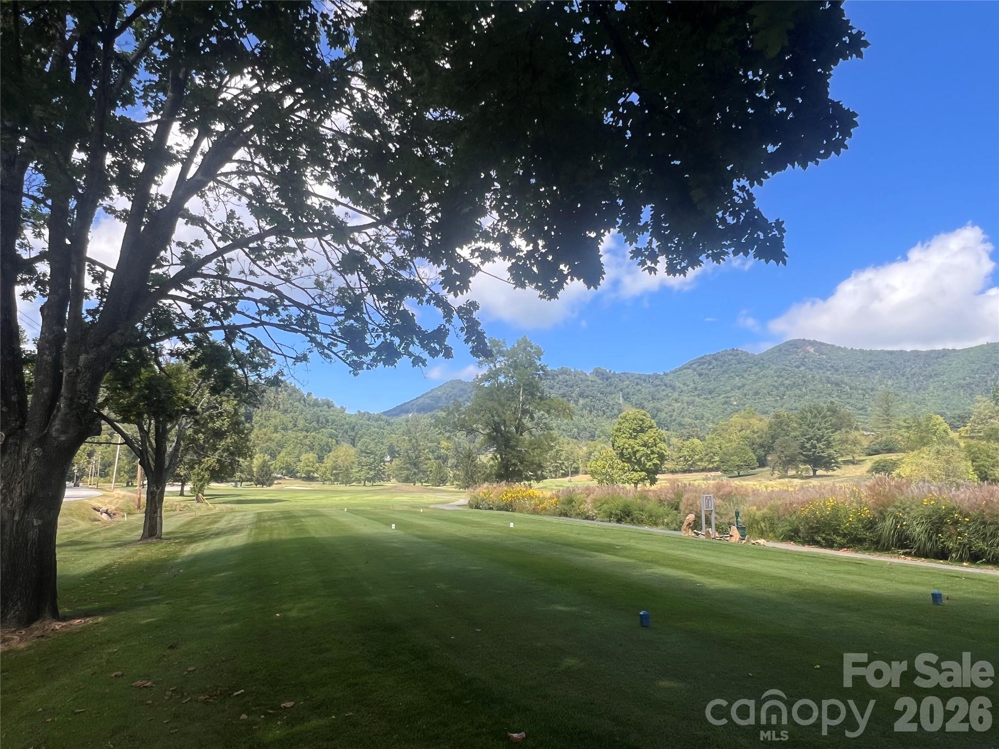 51 Bear Tree Cove — Canton