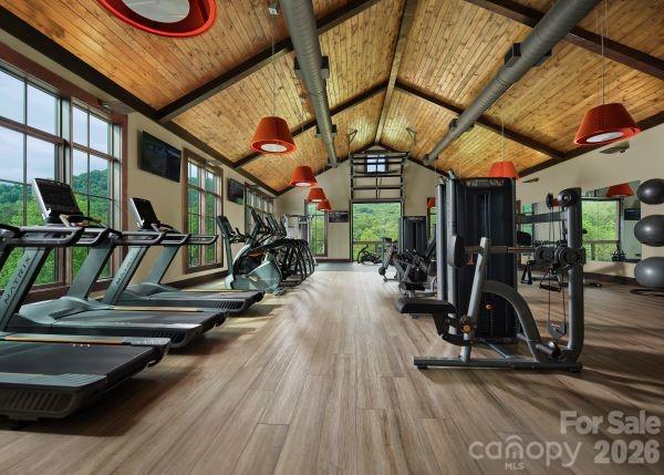 51 Bear Tree Cove — Canton