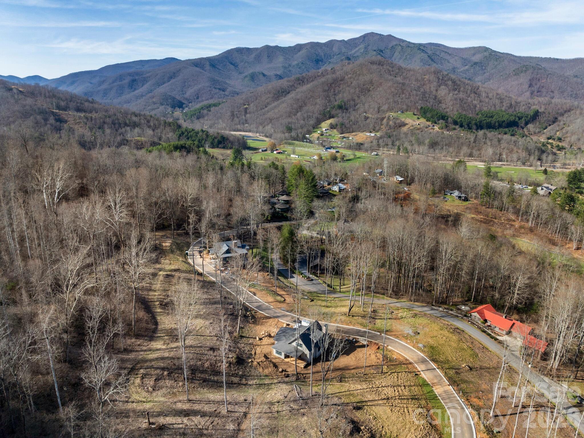 100 Bear Tree Cove — Canton
