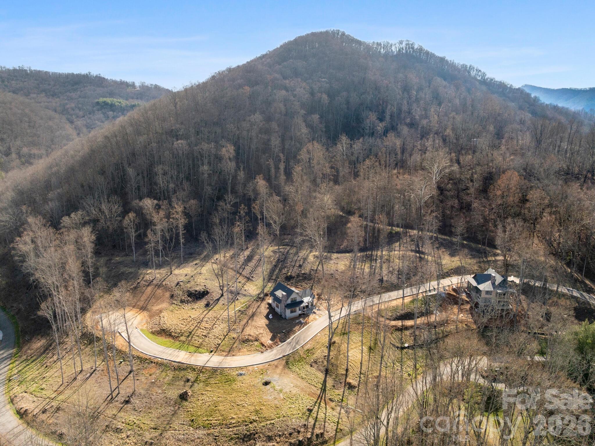 100 Bear Tree Cove — Canton