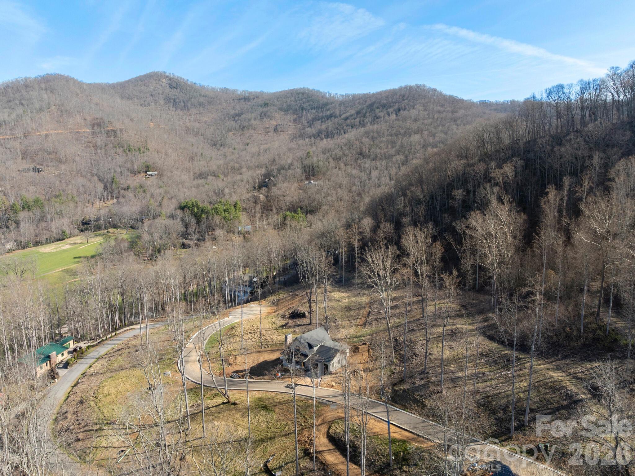 100 Bear Tree Cove — Canton