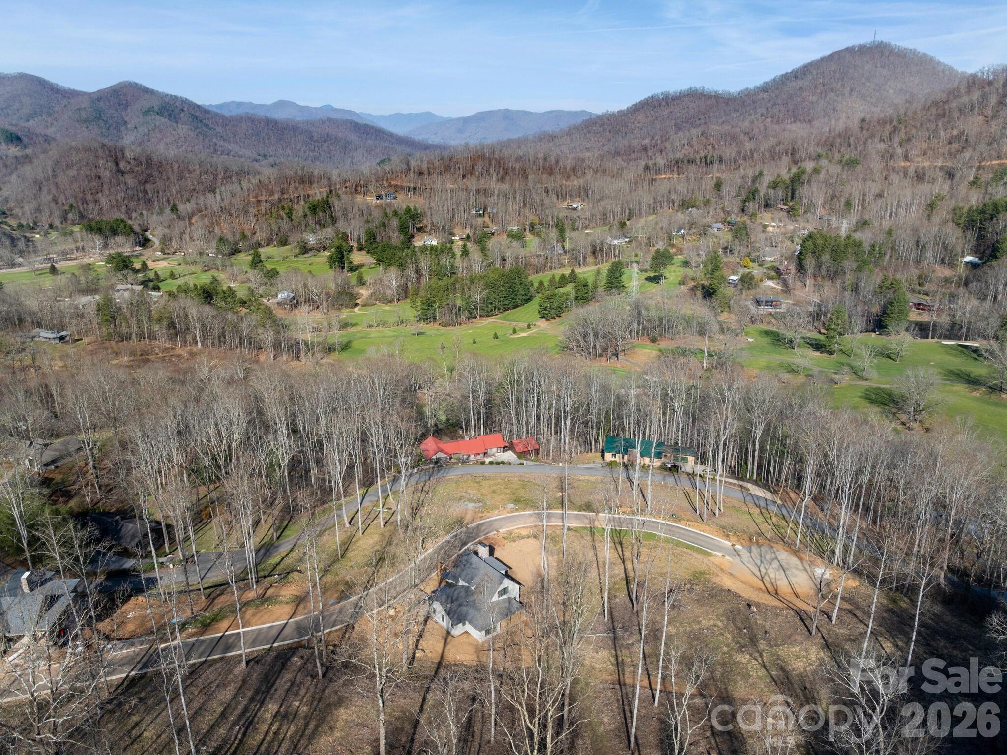 100 Bear Tree Cove — Canton