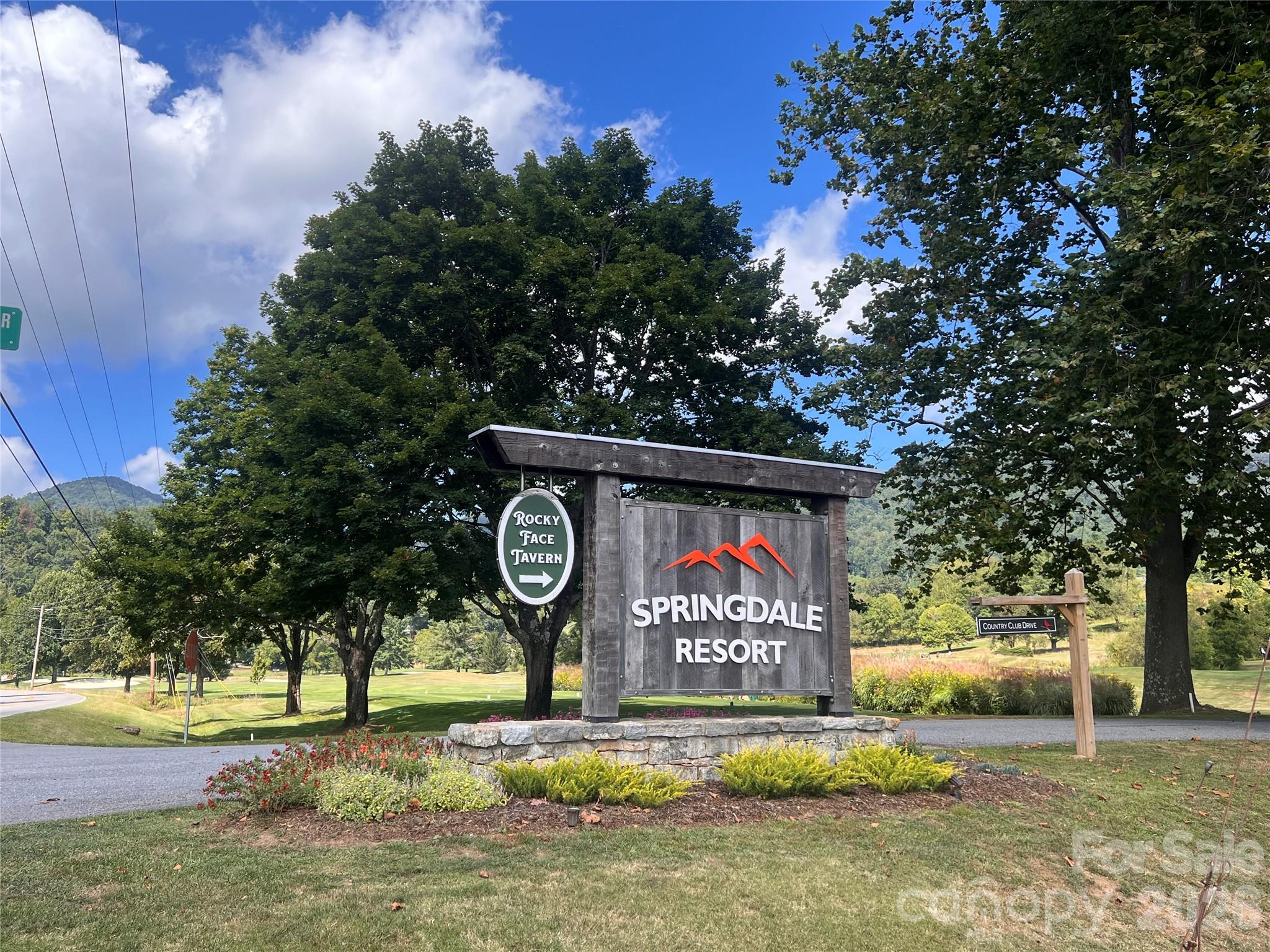 100 Bear Tree Cove — Canton