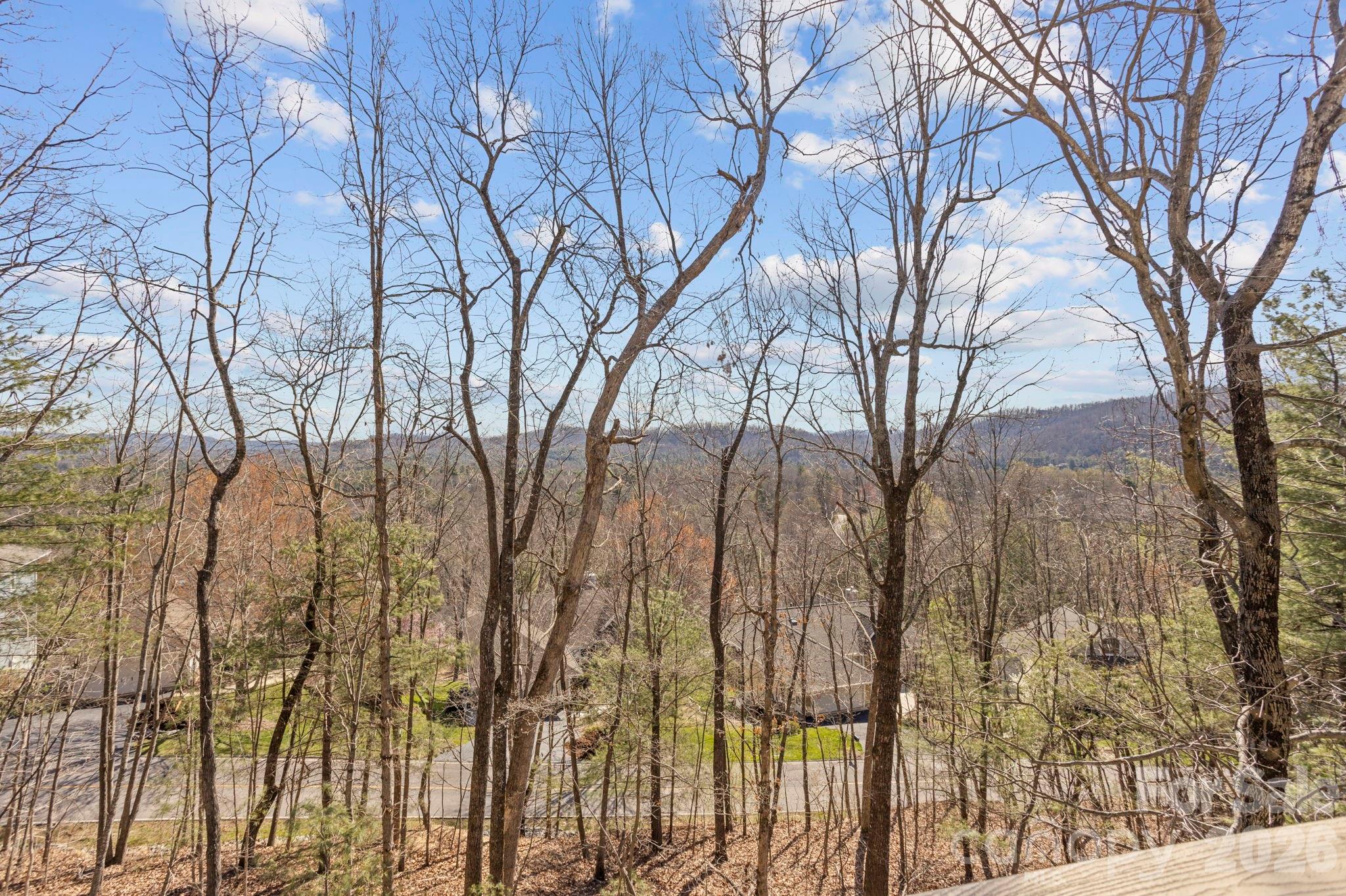 210 Claymoor Court — Flat Rock