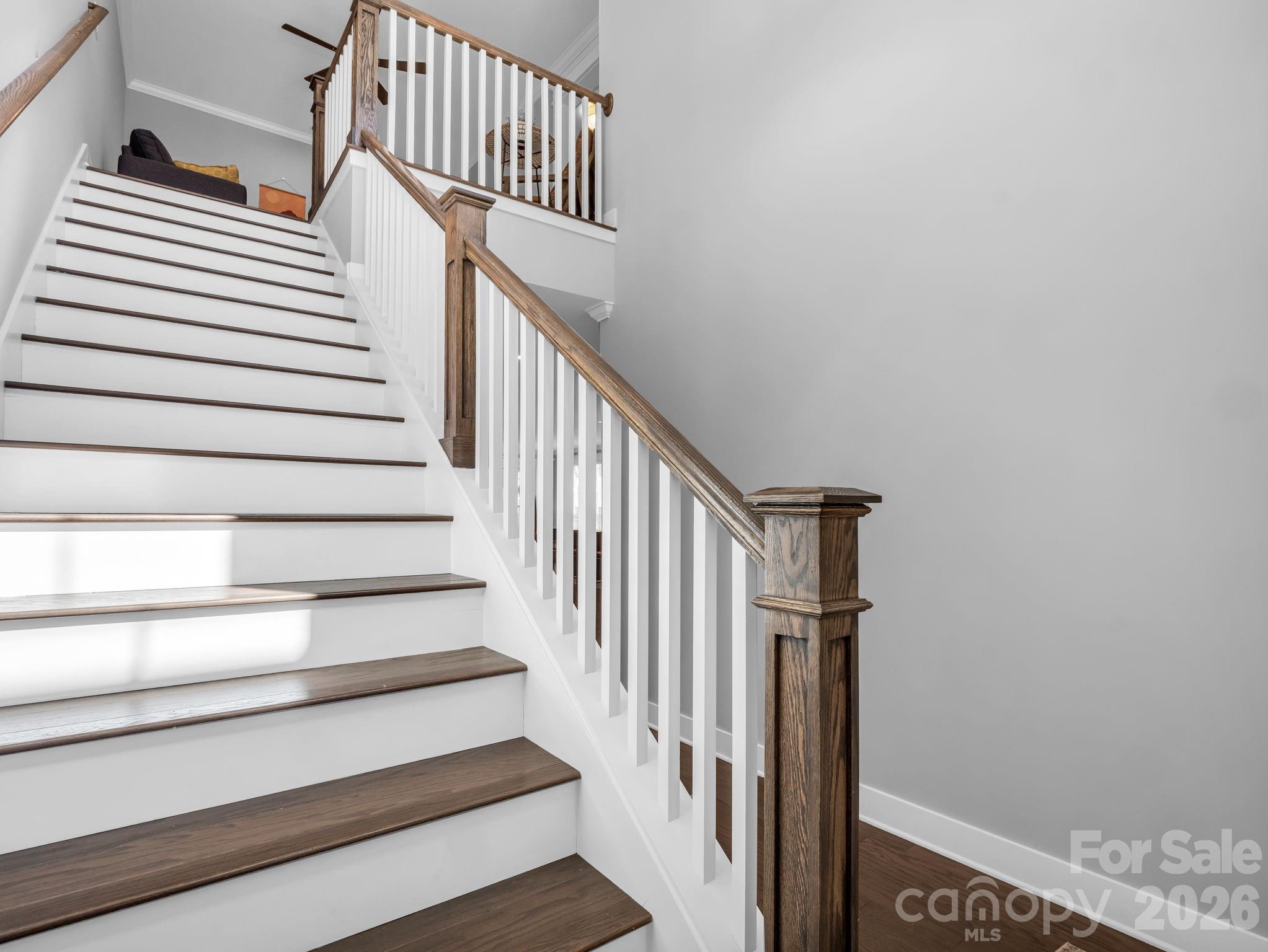 518 Sweet Birch Park Lane — Black Mountain