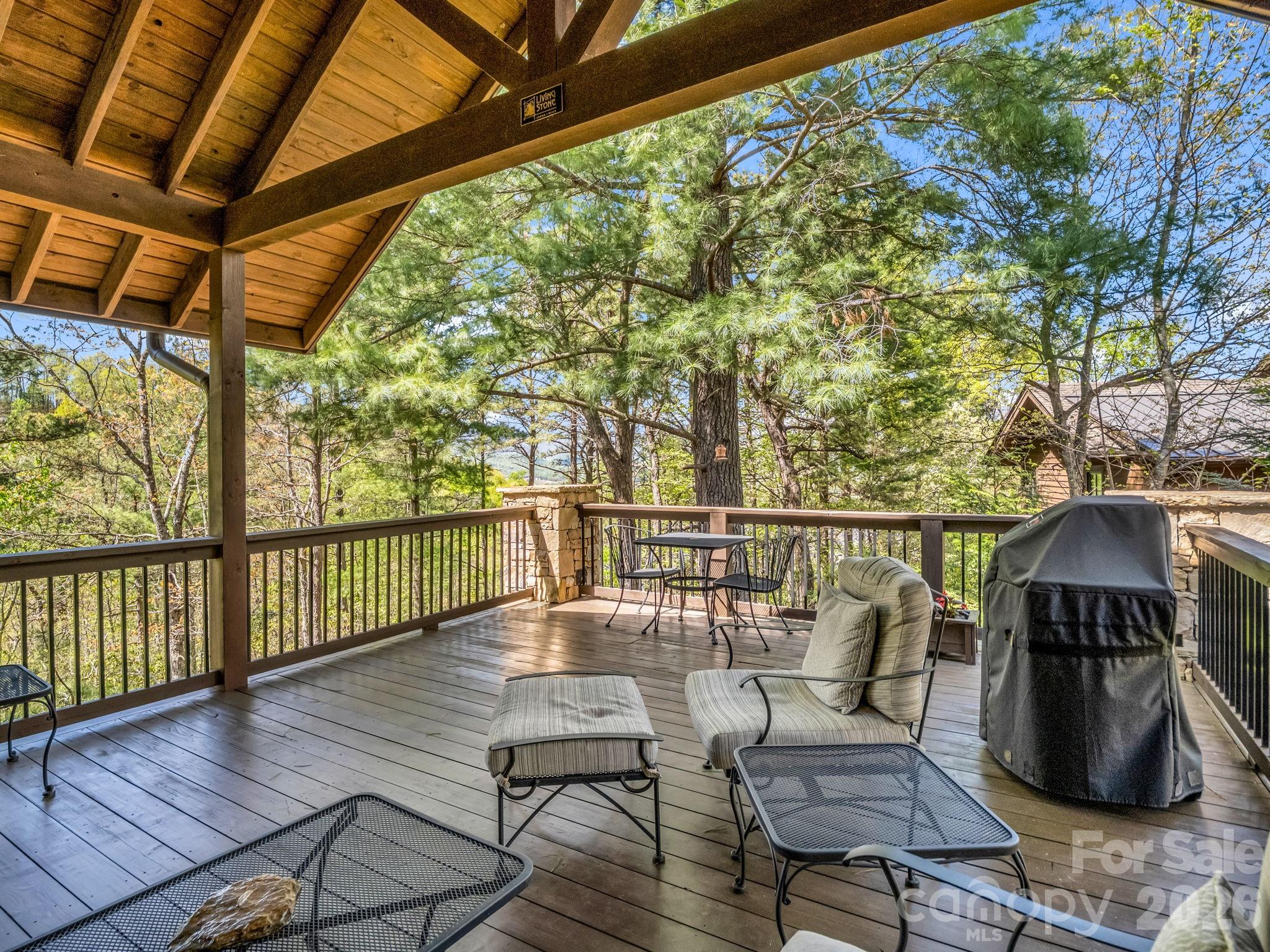 16 Panther Gap Road — Black Mountain
