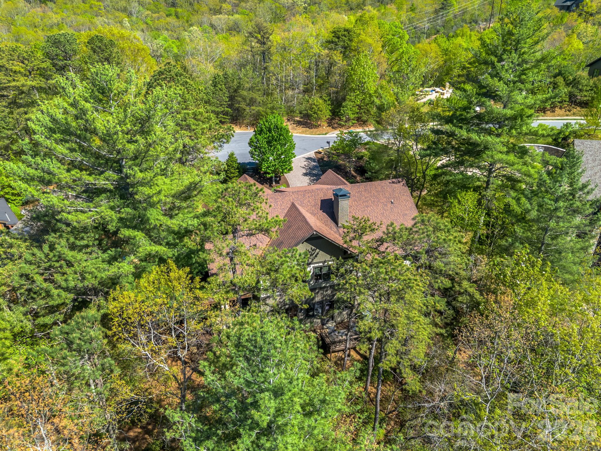 16 Panther Gap Road — Black Mountain