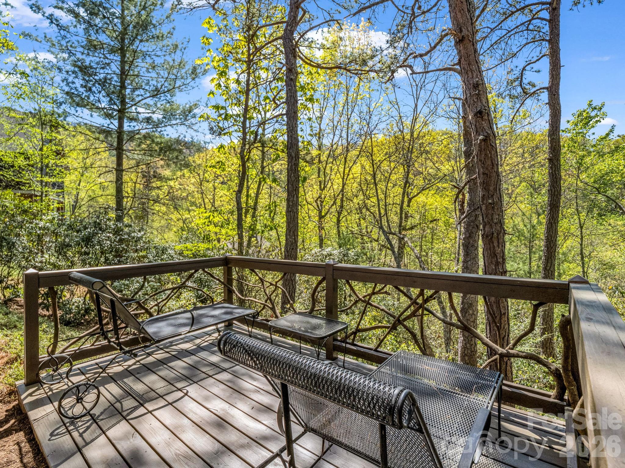 16 Panther Gap Road — Black Mountain