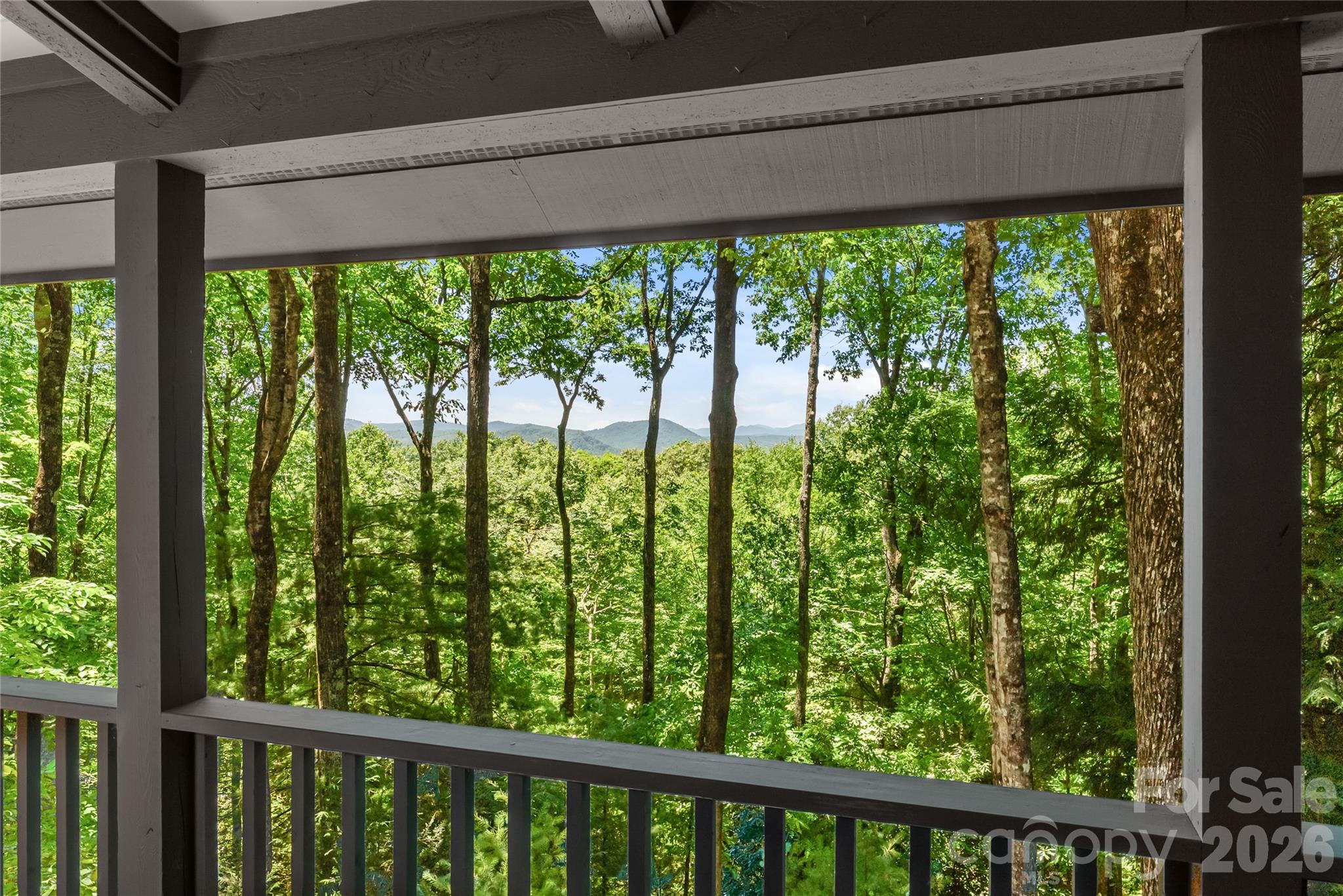 287 Dvdisdi Court — Brevard