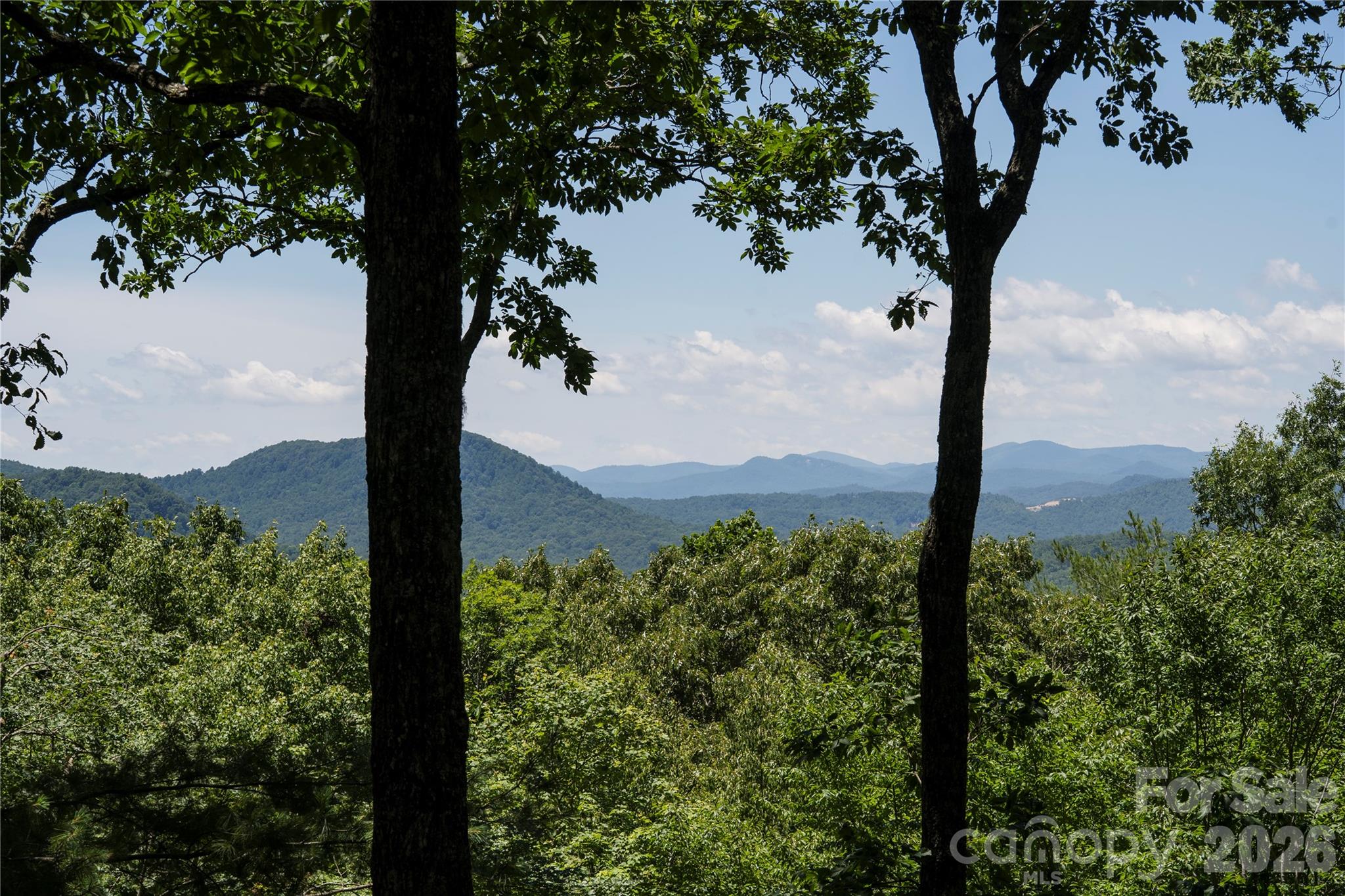 287 Dvdisdi Court — Brevard