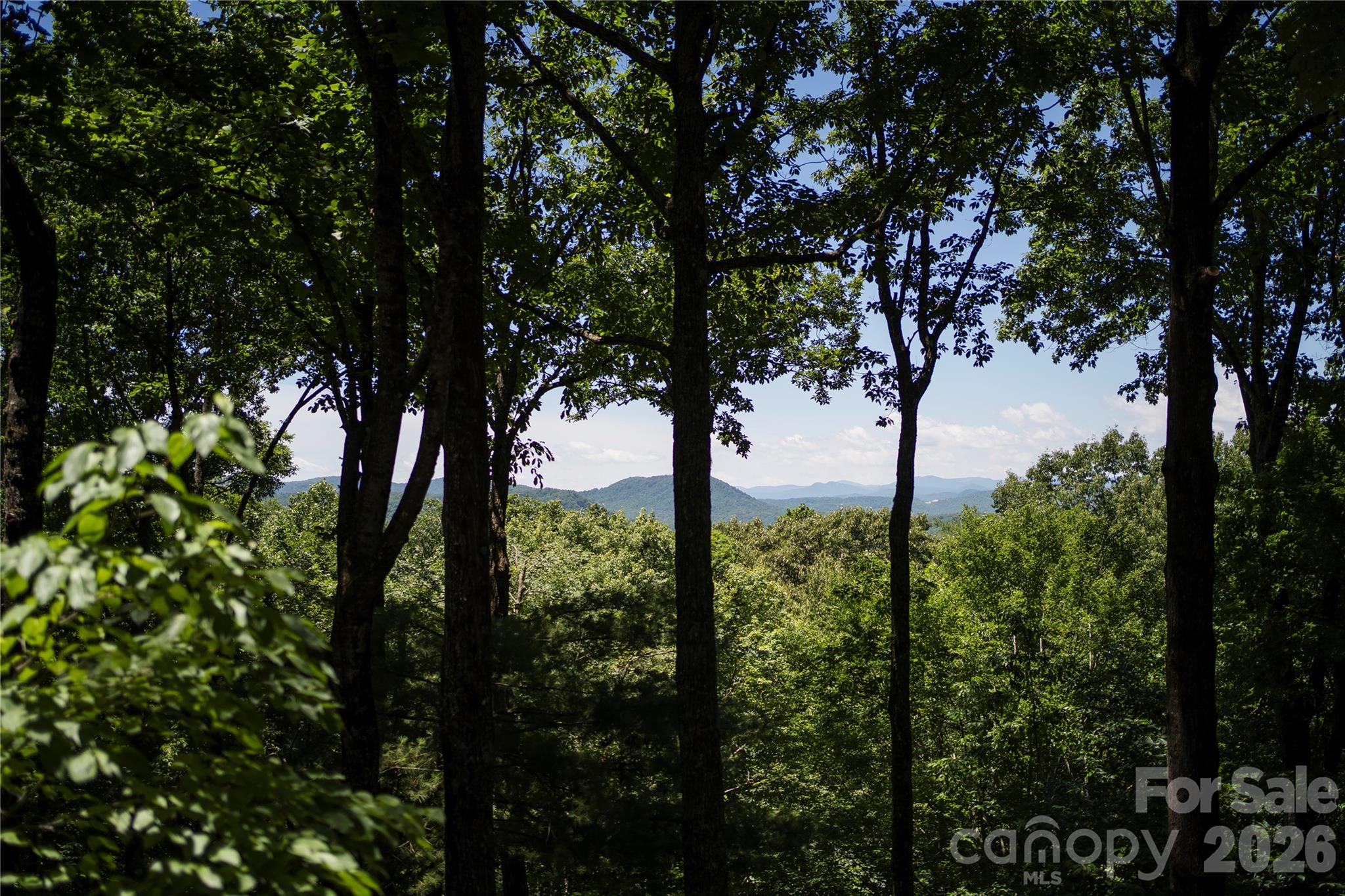 287 Dvdisdi Court — Brevard