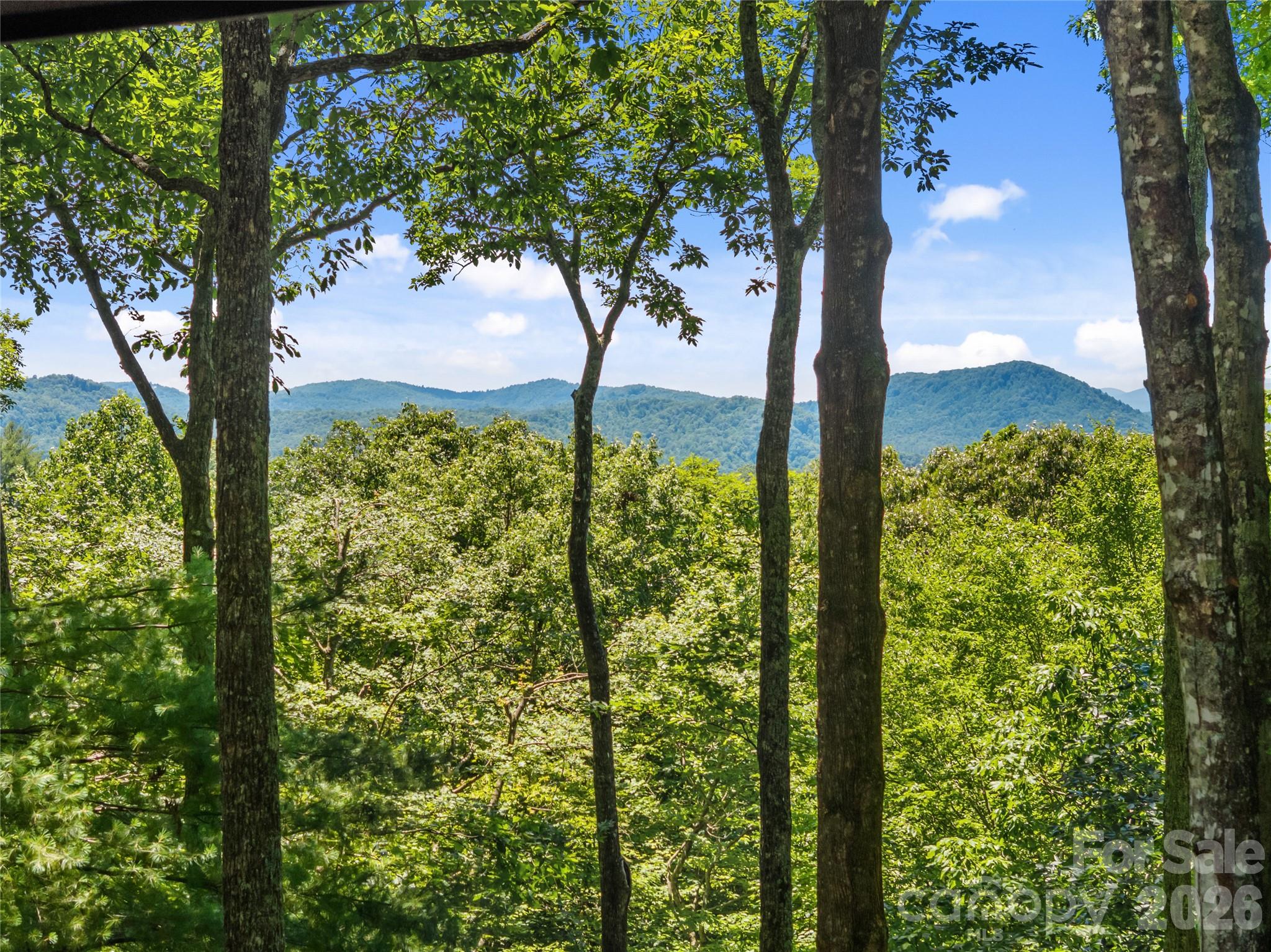287 Dvdisdi Court — Brevard