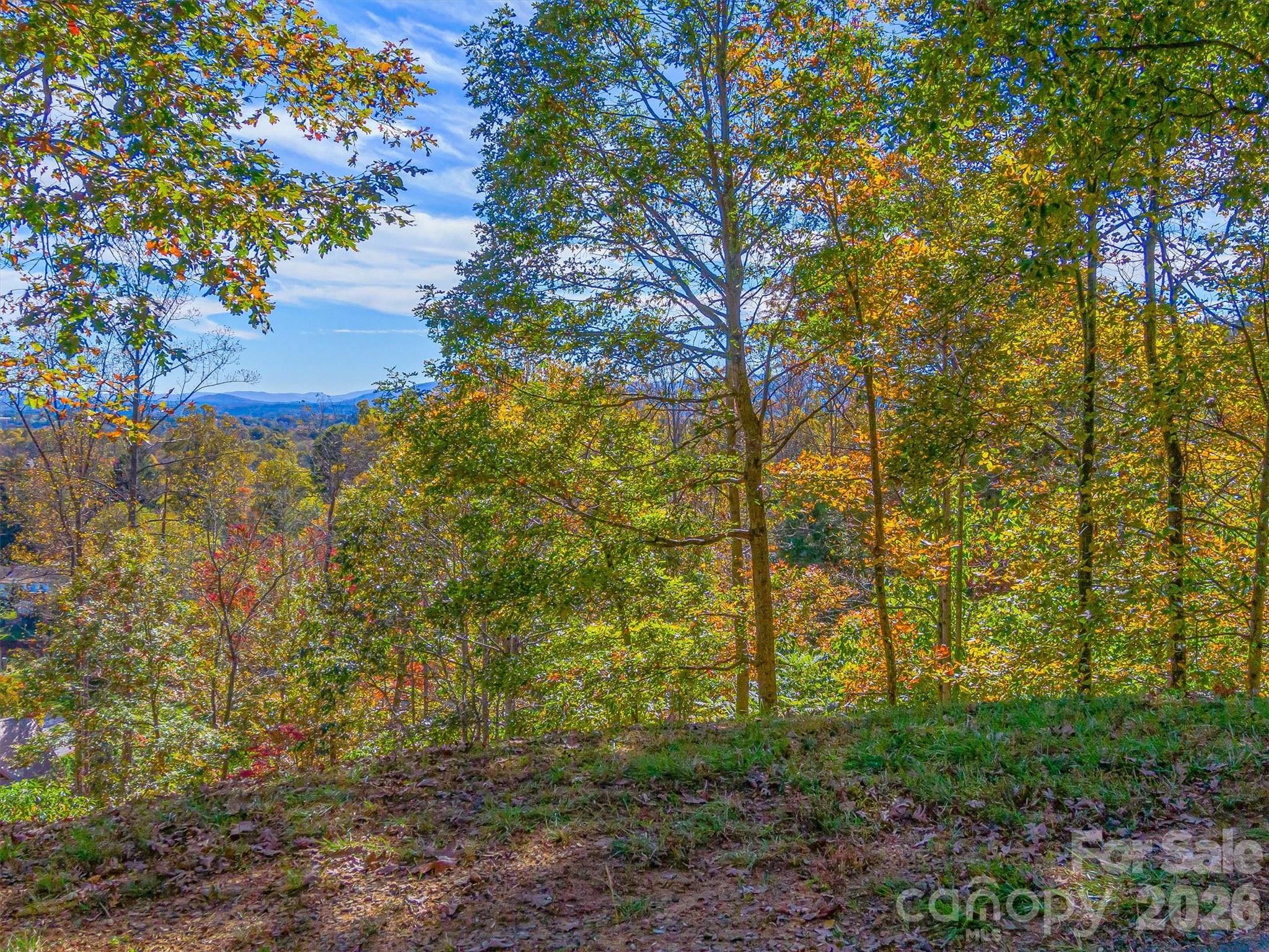 17 Denali Drive — Asheville