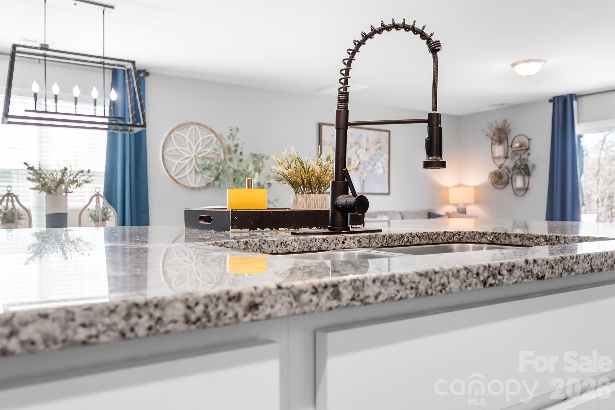 210 Silver Oak Circle — Rockwell