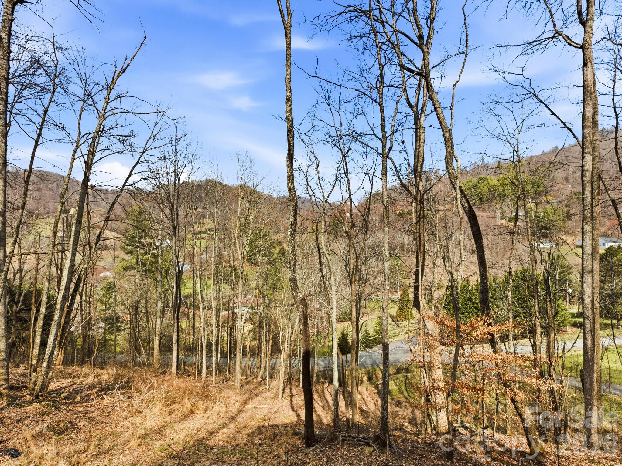 98 Harmony Hill Lane — Mars Hill