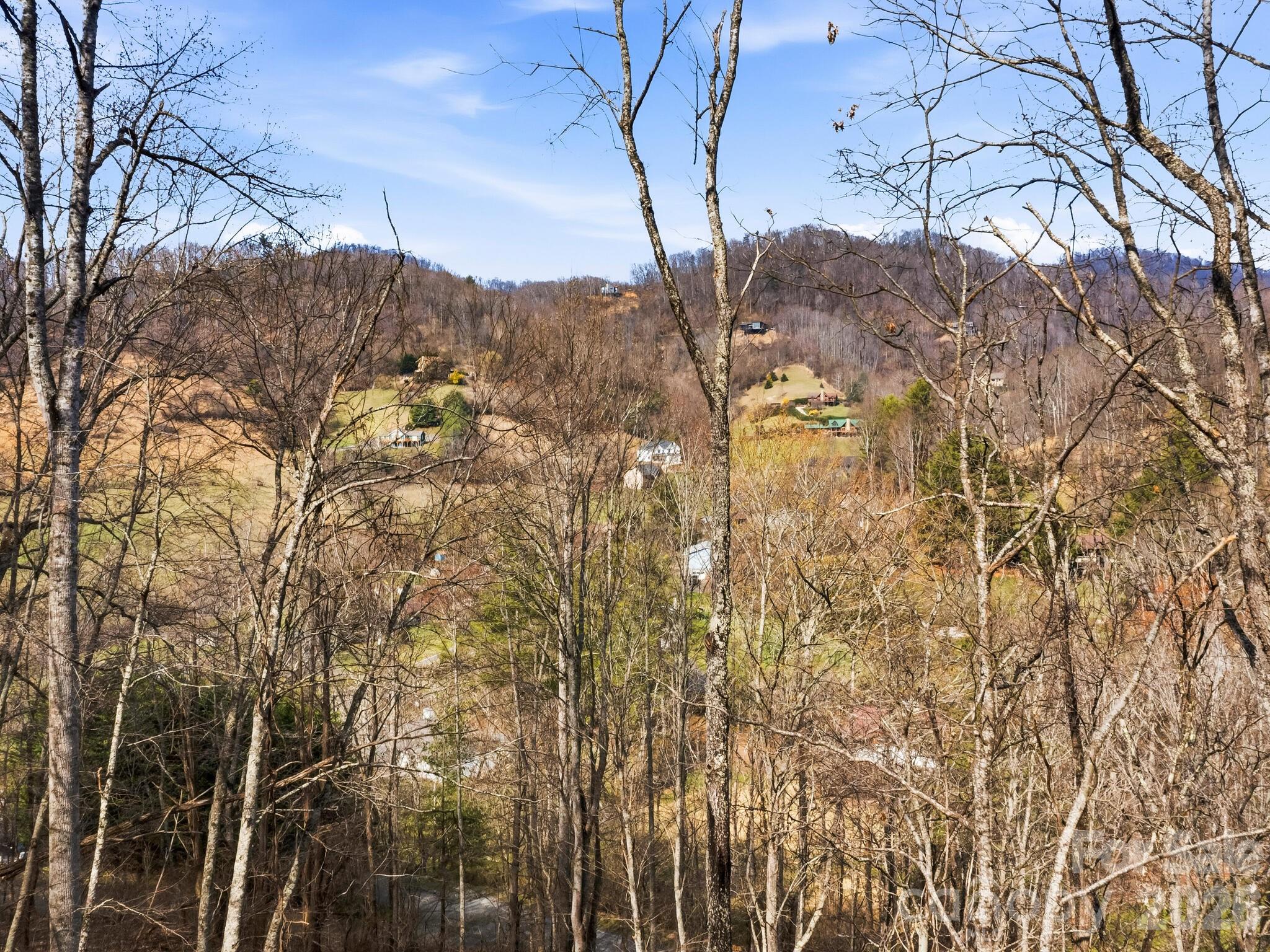 98 Harmony Hill Lane — Mars Hill