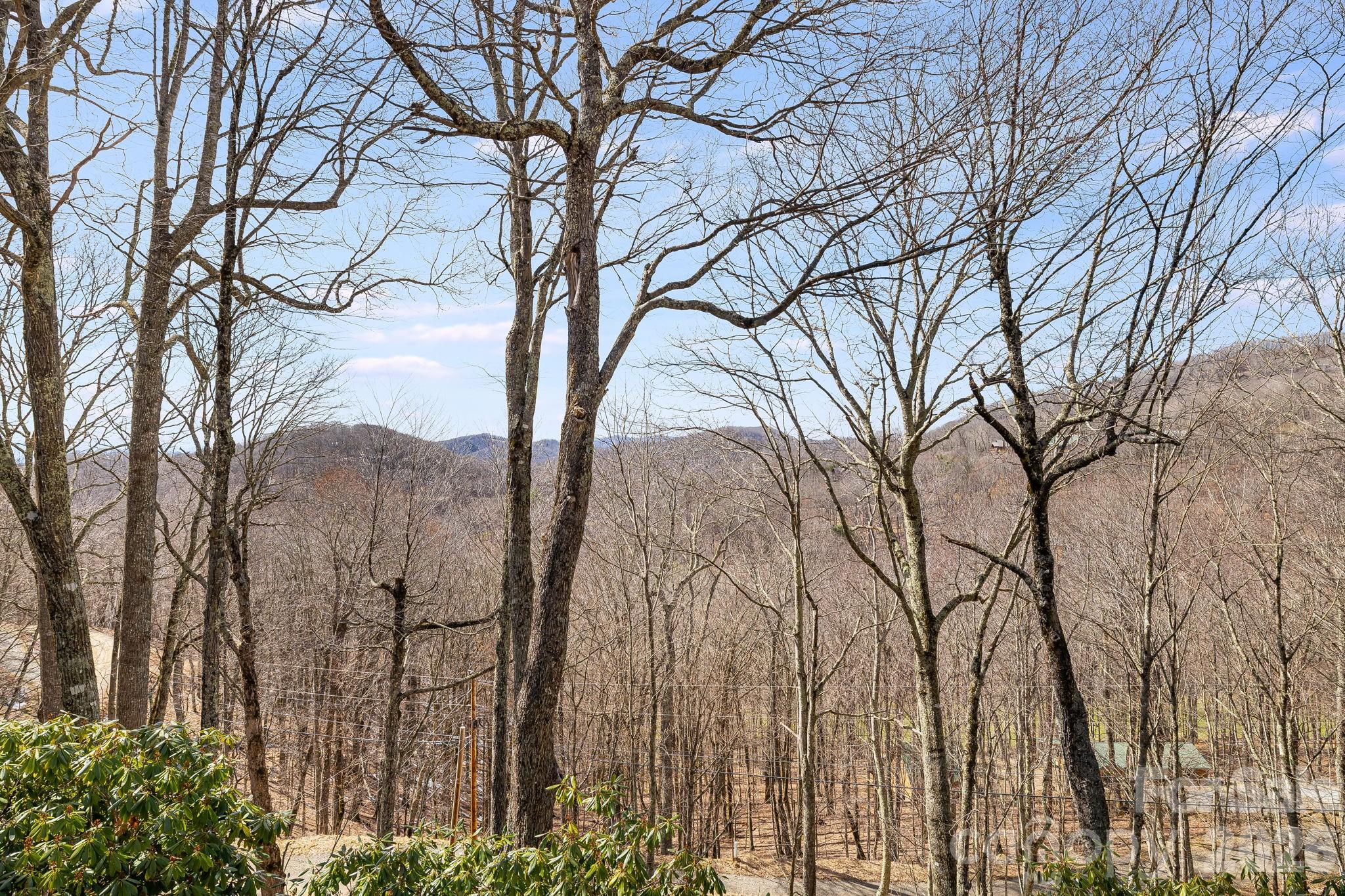 1065 Oak Ridge Lane #713 — Mars Hill