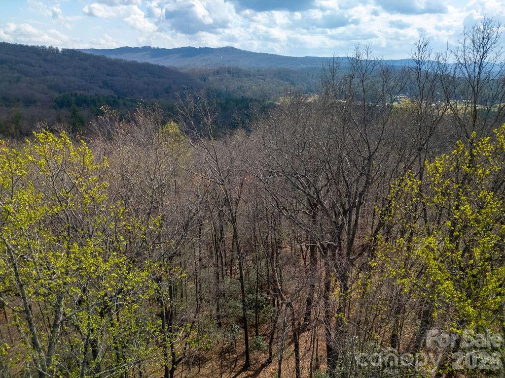558 Poplar Crest Drive — Pisgah Forest