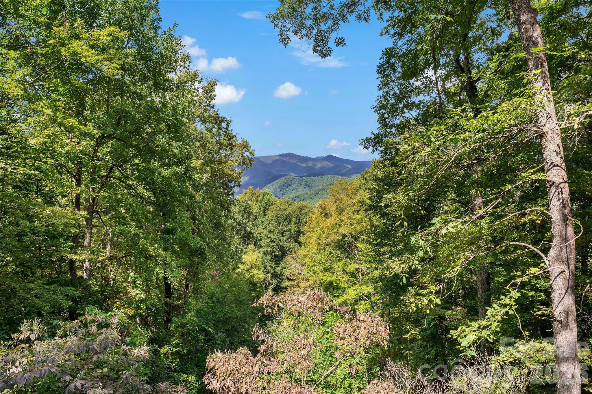 68 Lakey Gap Heights — Black Mountain