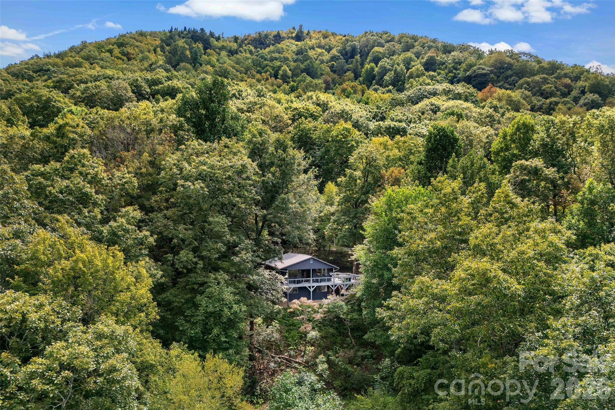 68 Lakey Gap Heights — Black Mountain