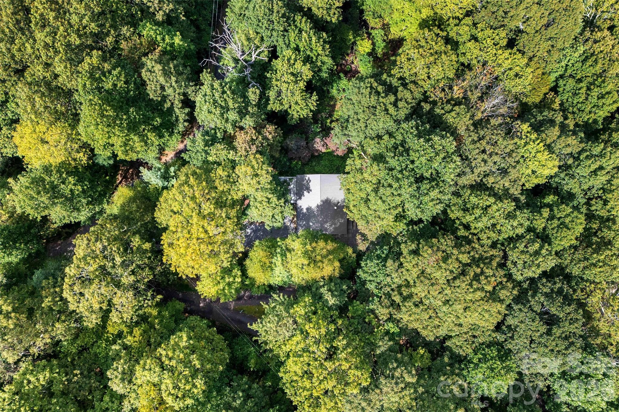 68 Lakey Gap Heights — Black Mountain