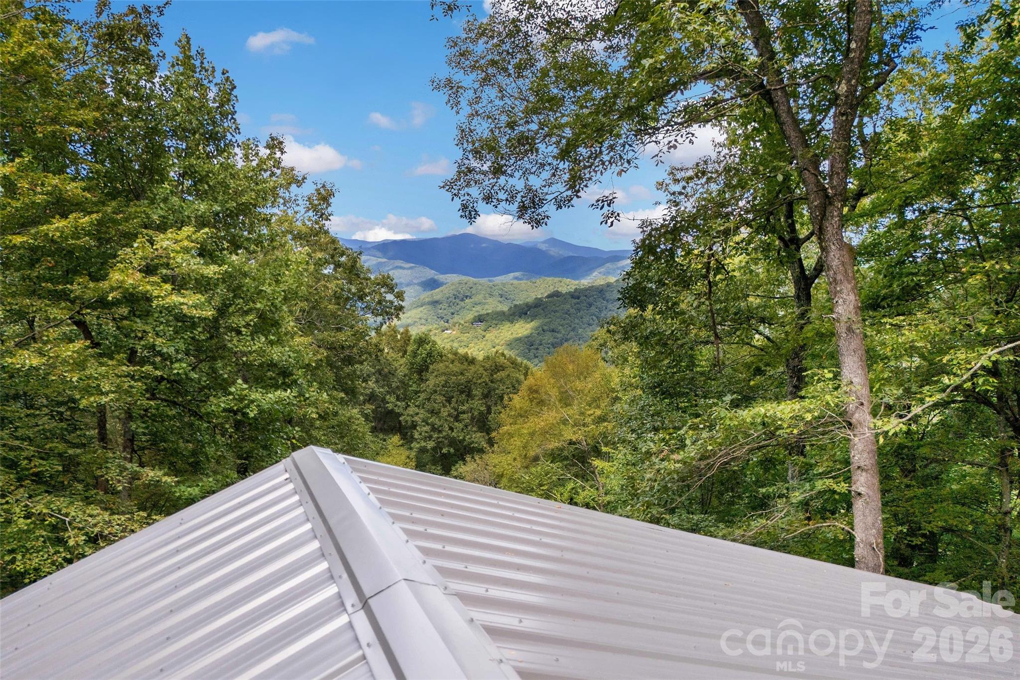 68 Lakey Gap Heights — Black Mountain