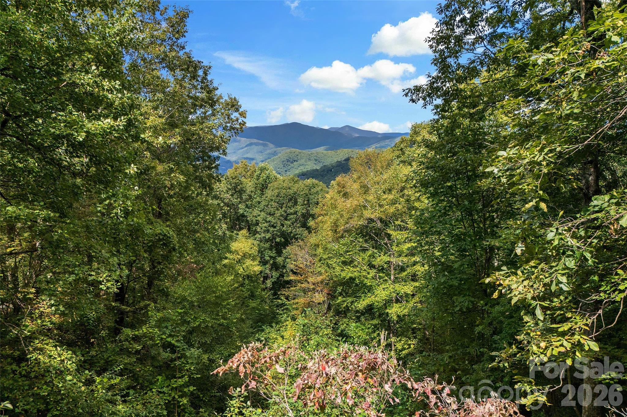 68 Lakey Gap Heights — Black Mountain