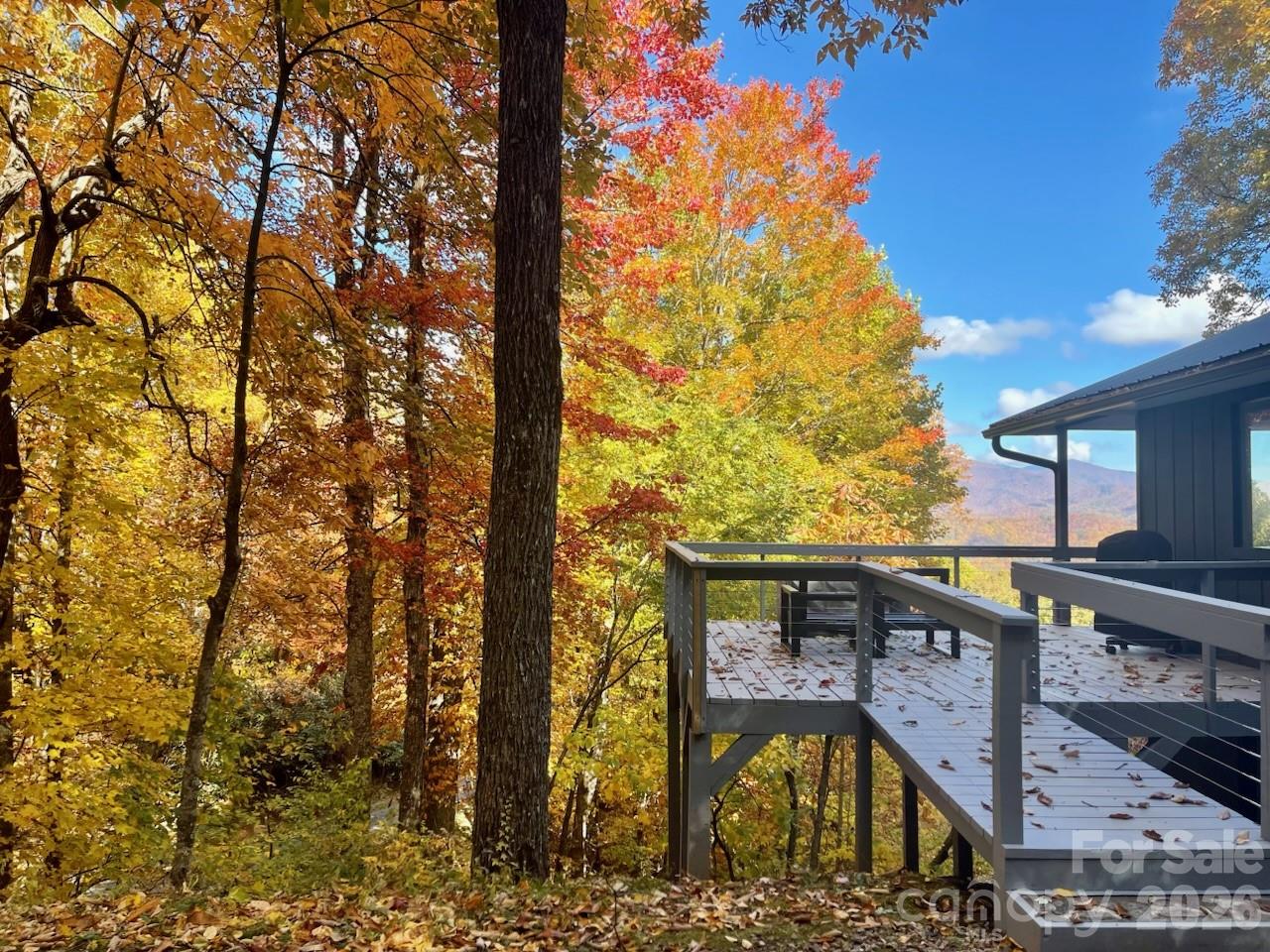 68 Lakey Gap Heights — Black Mountain