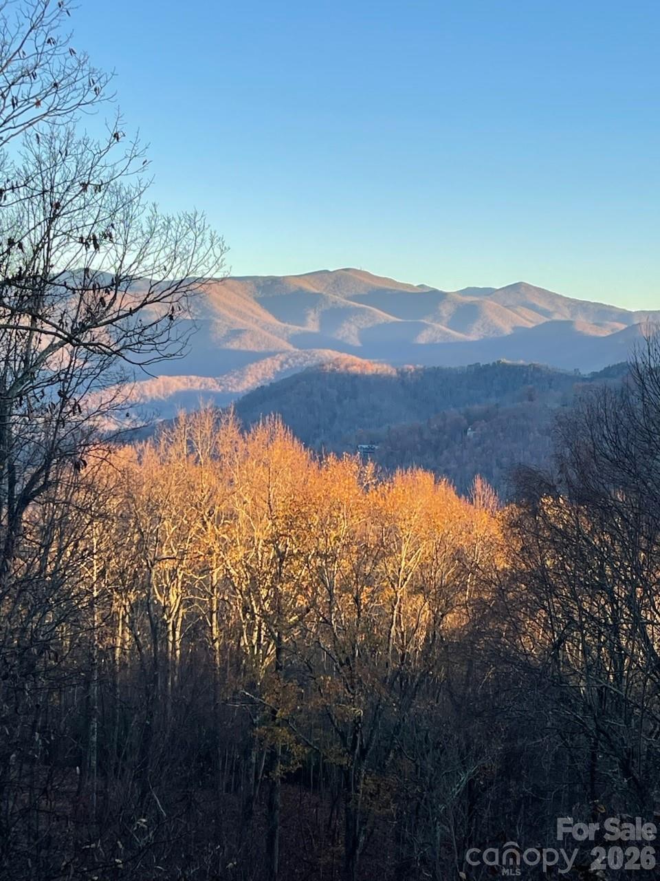 68 Lakey Gap Heights — Black Mountain