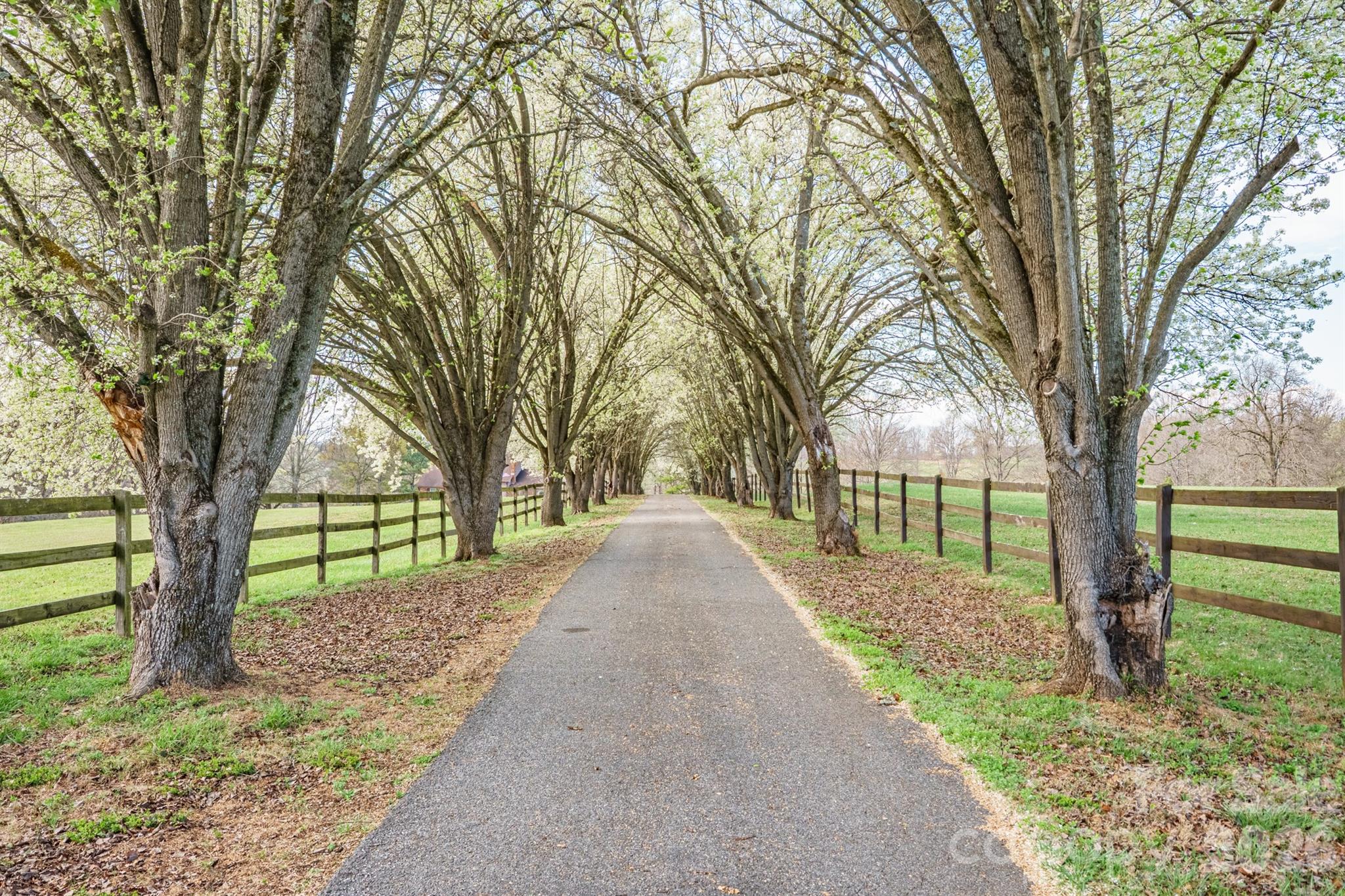 1924 Buck Shoals Road — Hamptonville