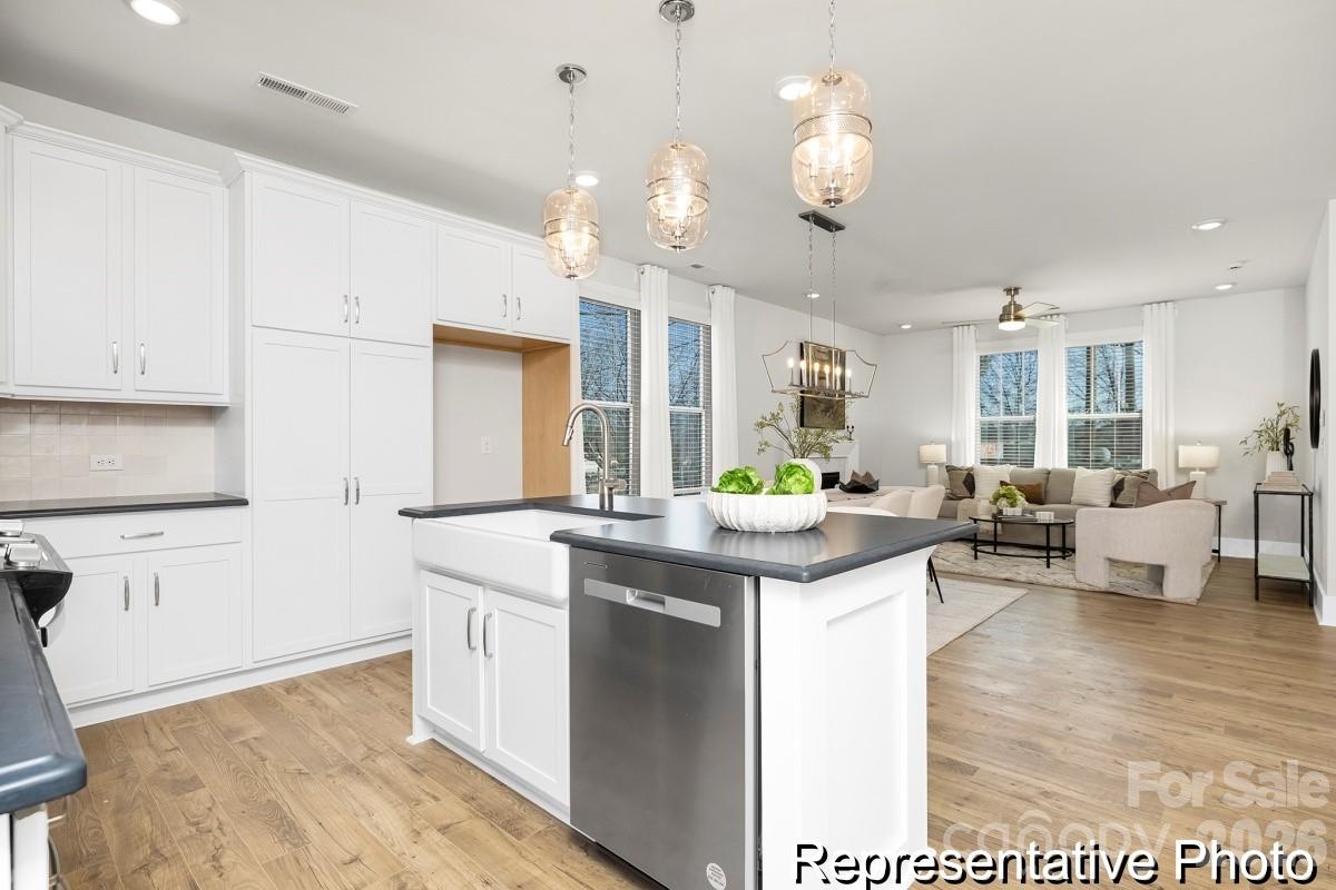 1141 Lorrie Lane #400p — Albemarle