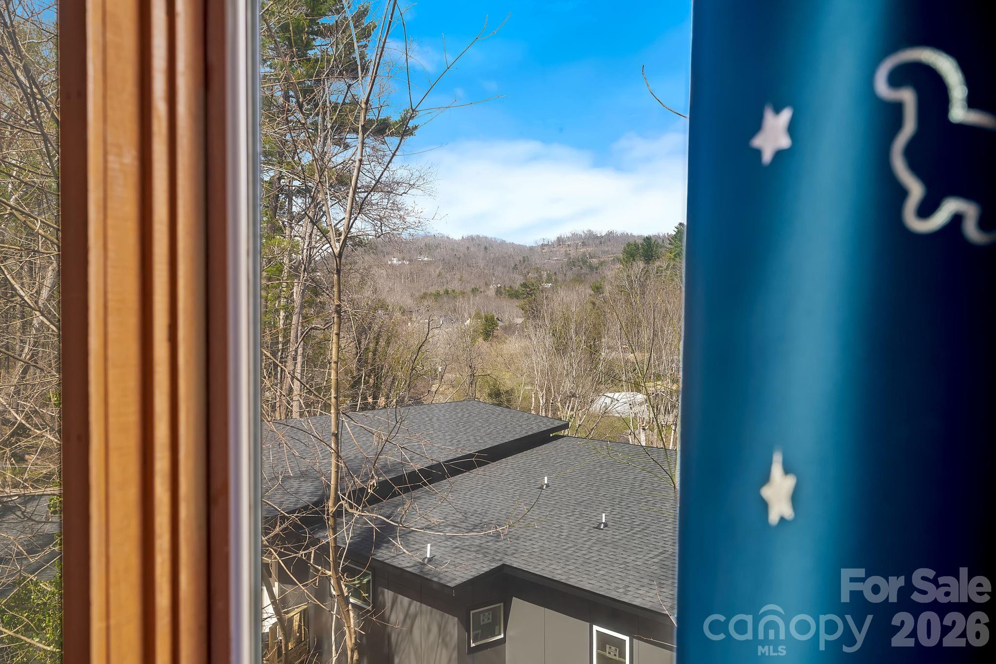 39 Spooks Branch Extension — Asheville
