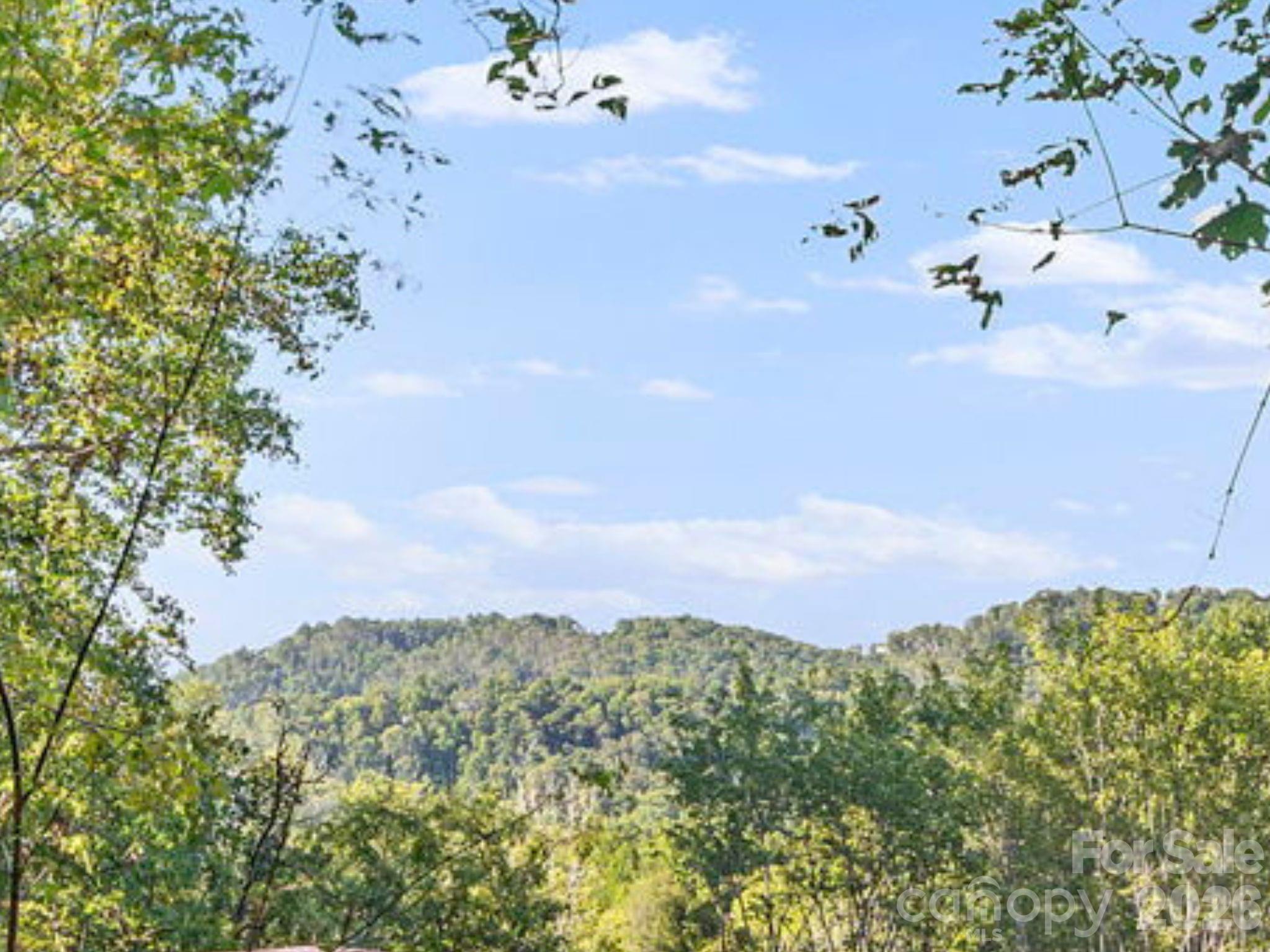 39 Spooks Branch Extension — Asheville