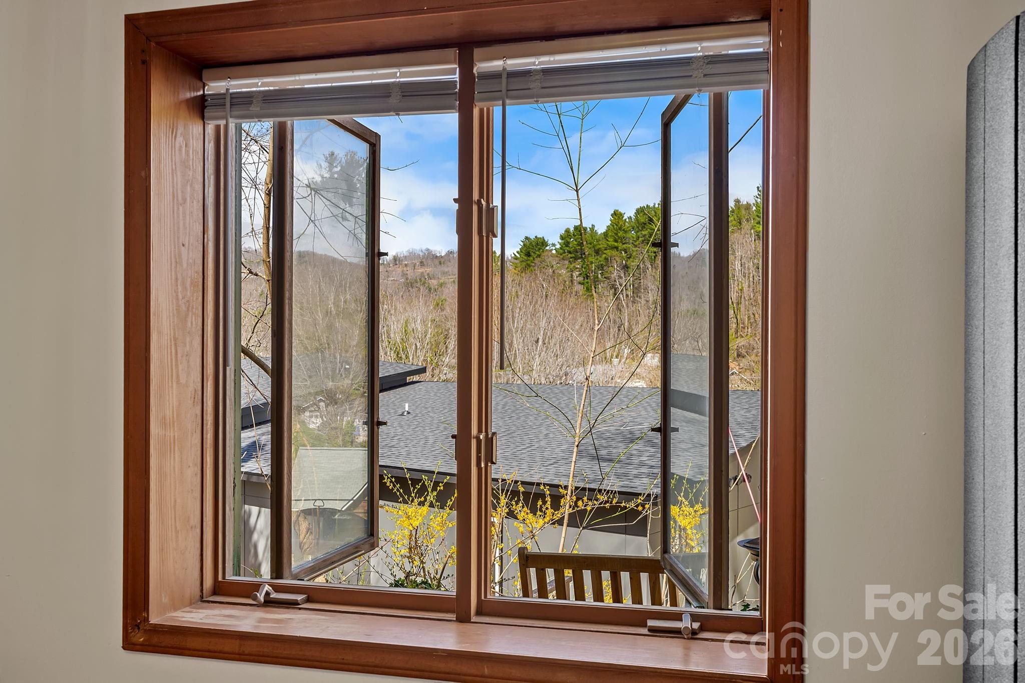 39 Spooks Branch Extension — Asheville