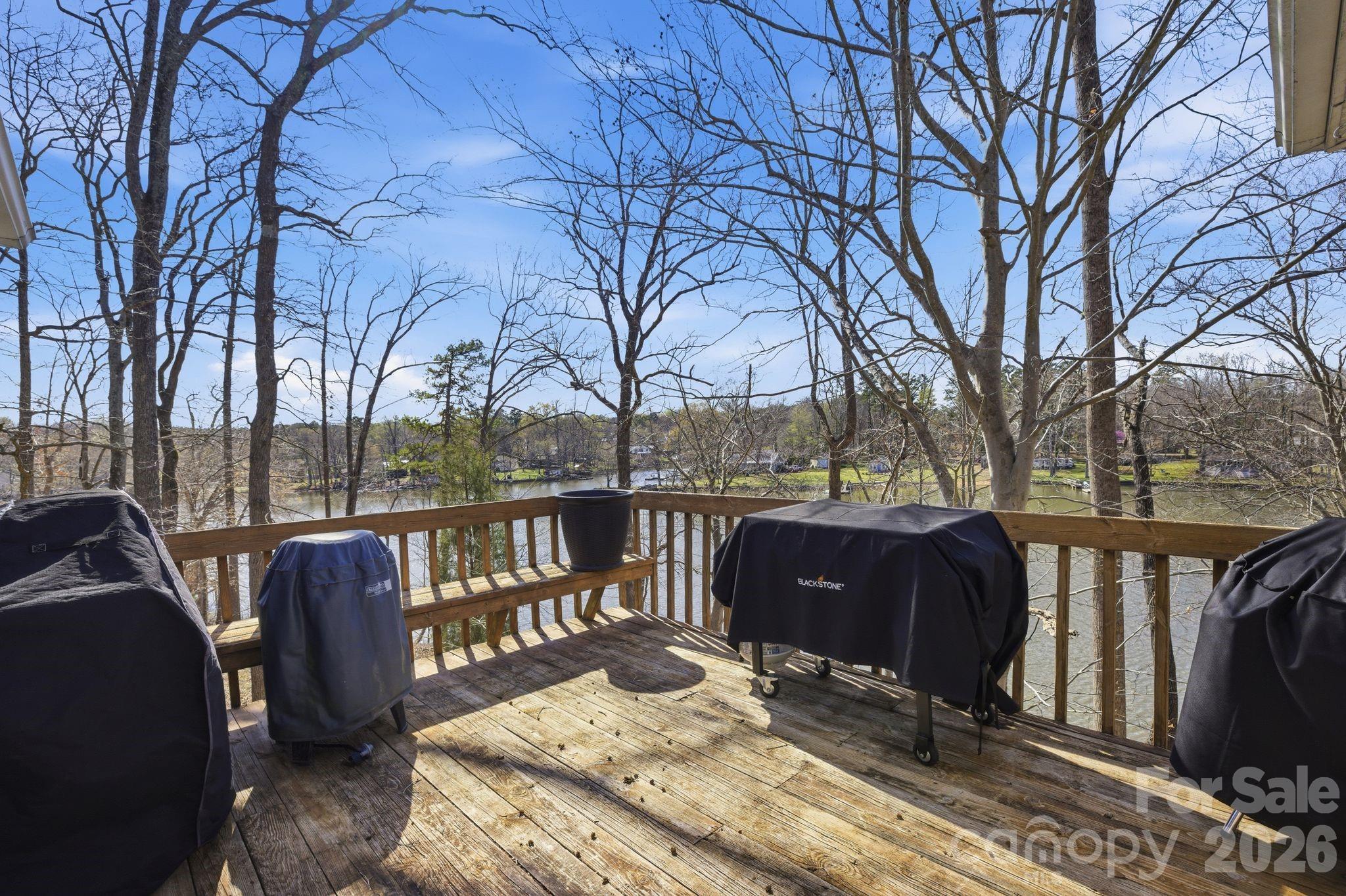 3920 Old Mountain Road — Lexington