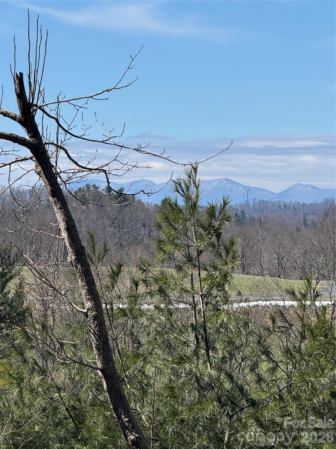 365 Trout Brook Loop — Newland