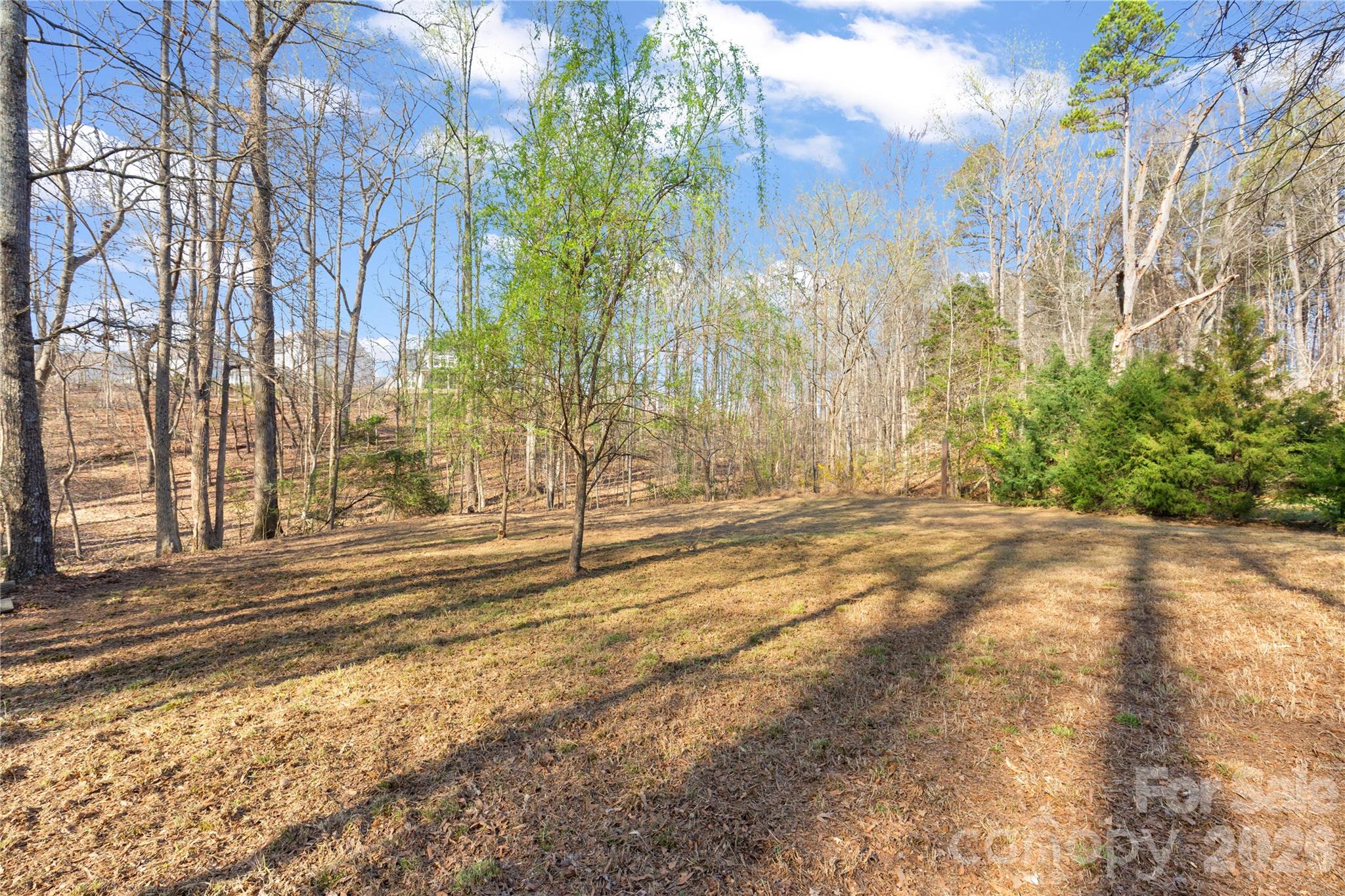 1755 Earl Drive — Fort Mill