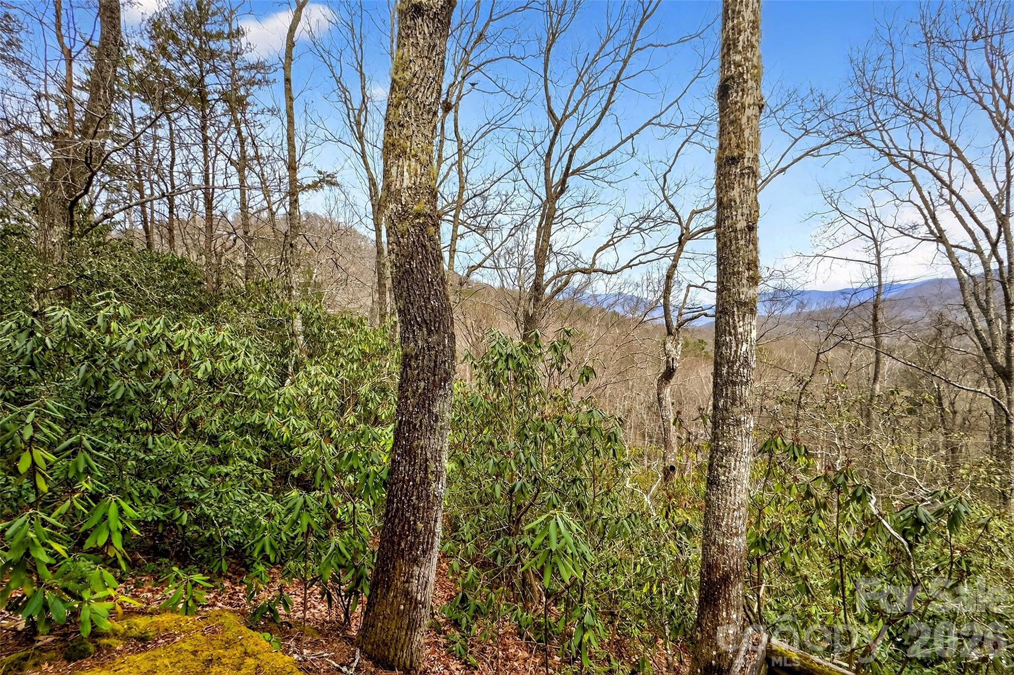169 Hilltop Road — Black Mountain