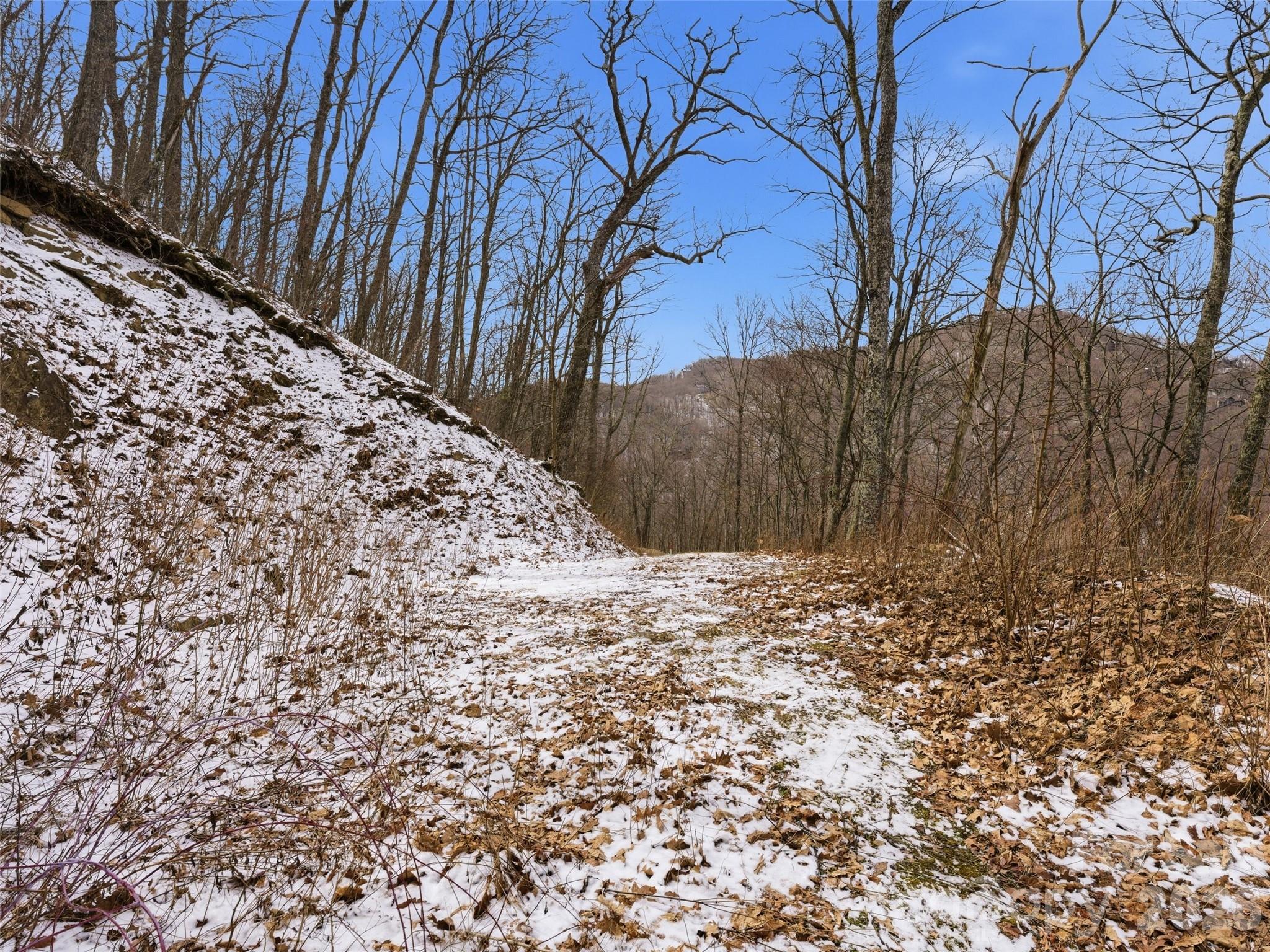 301 Awohali Trail — Maggie Valley