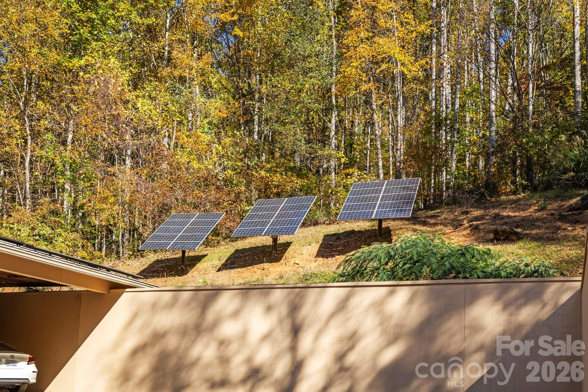 97 Old Cove Road — Black Mountain