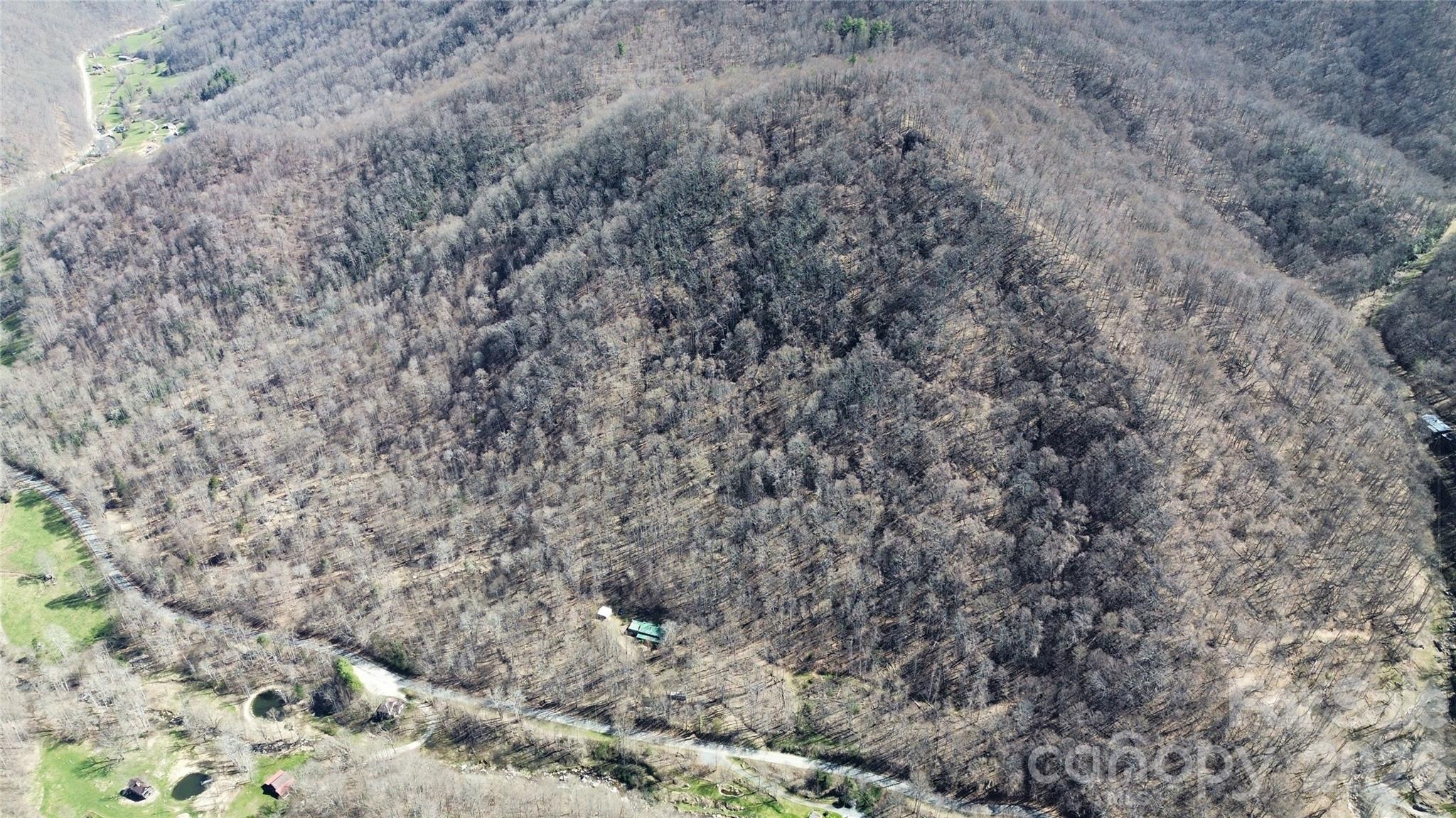 17619 Nc 209 Highway — Hot Springs