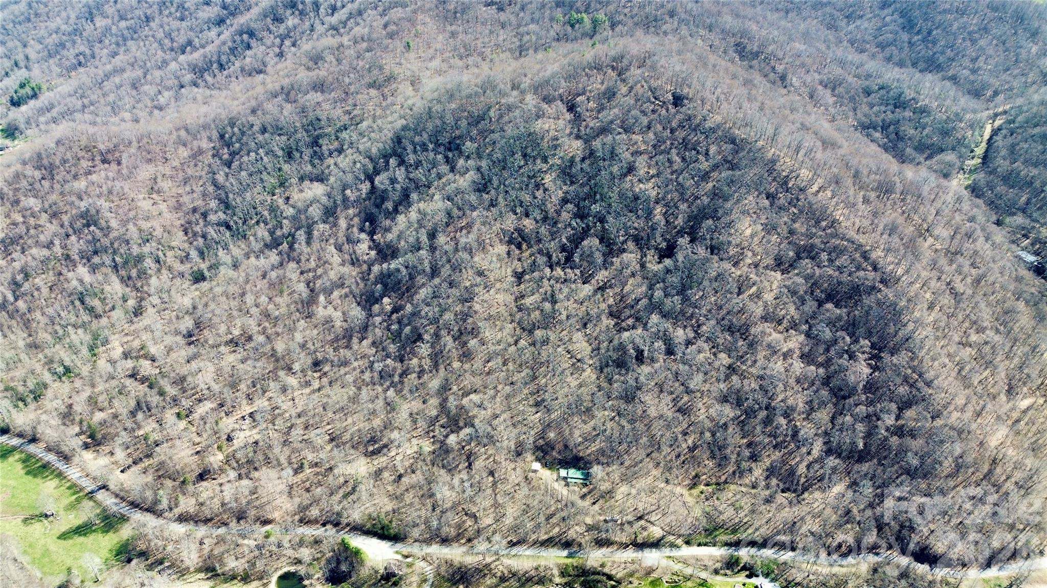 17619 Nc 209 Highway — Hot Springs