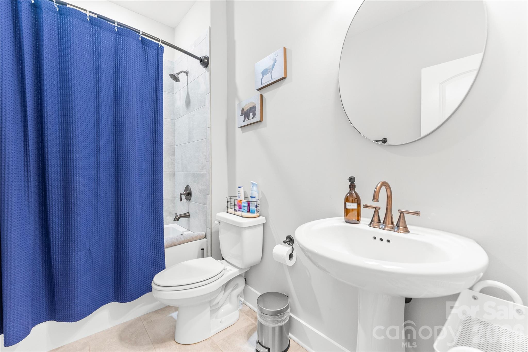 509 Sweet Birch Park Lane — Black Mountain