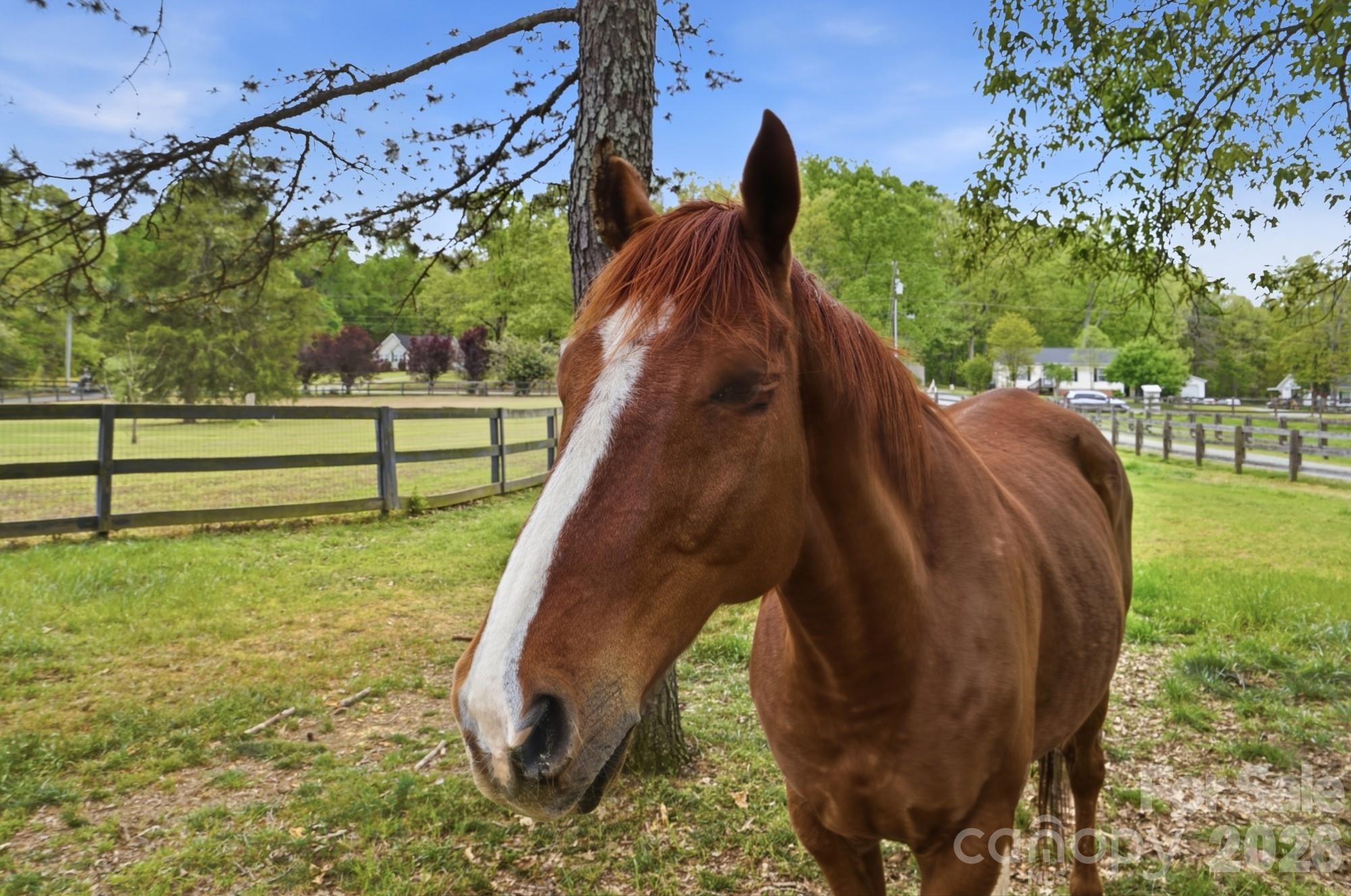 5508 Mcwhorter Road — Waxhaw