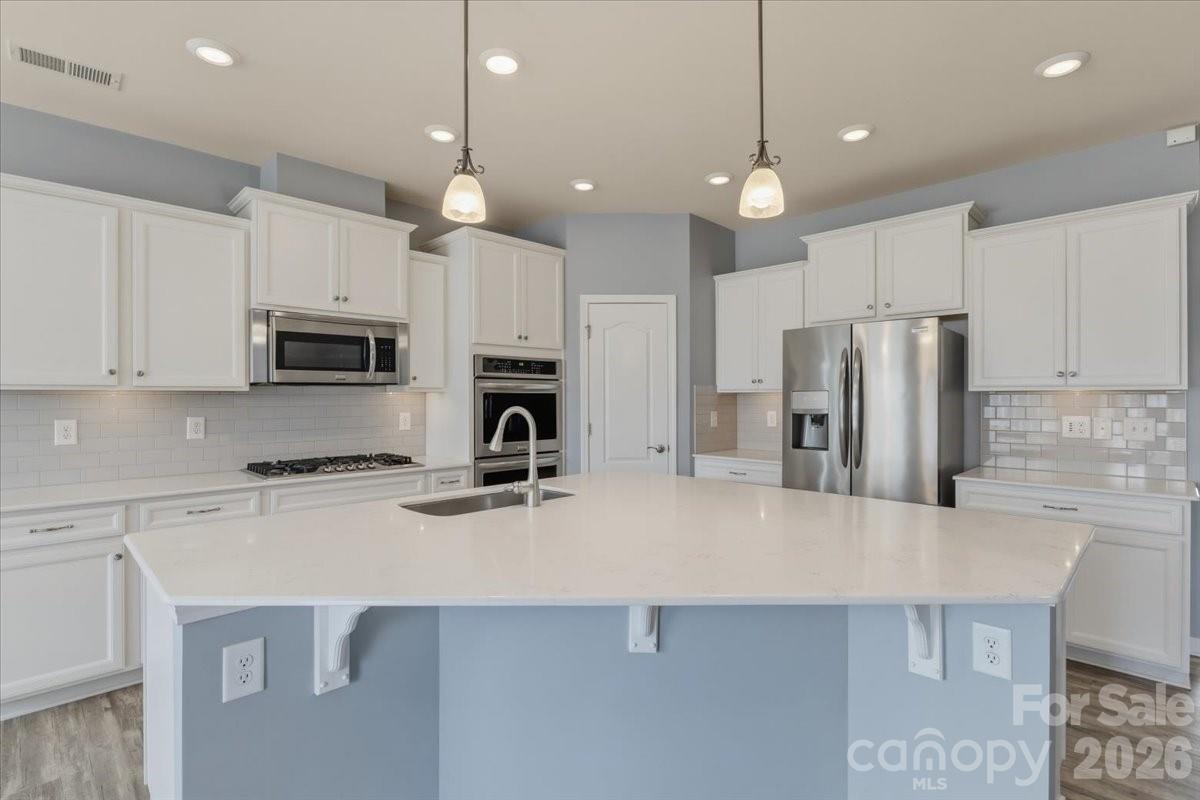 4048 Home Grown Way — Lake Wylie