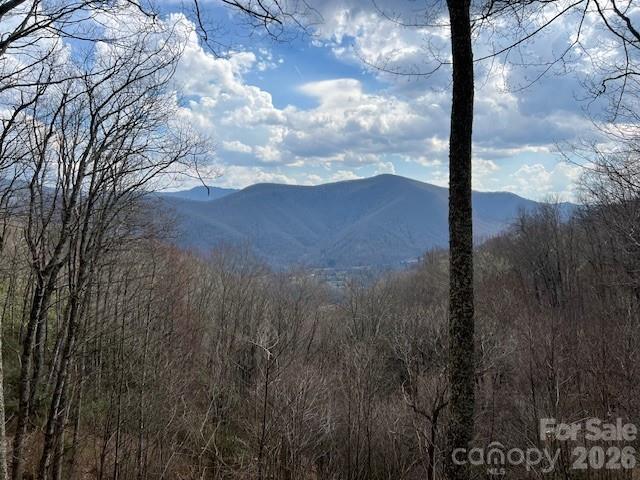 399 Bent Tree Road — Maggie Valley
